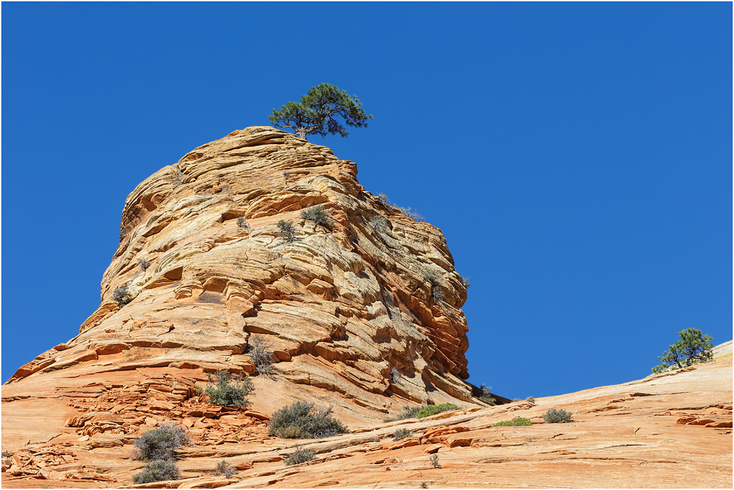 Cross-bedded Navajo Sandstone, near Zion, Utah