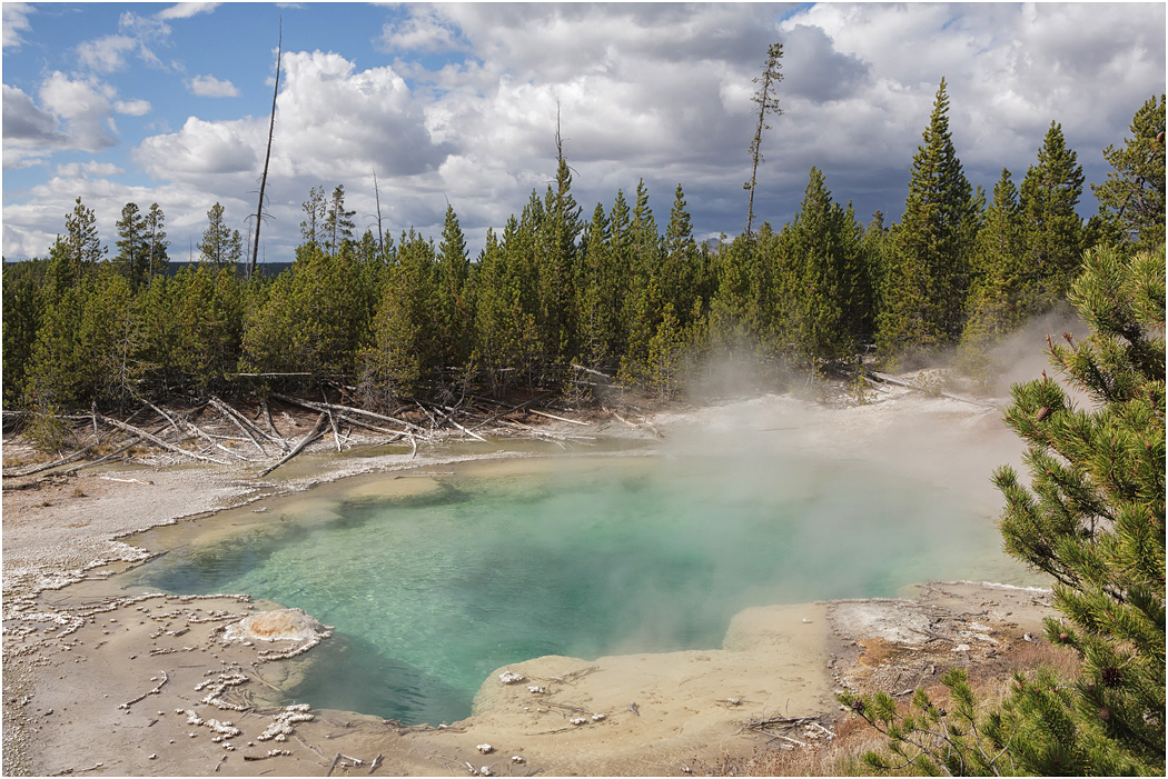 Emerald Spring, Norris Basin, Yellowstone NP
