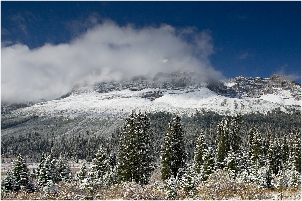 Early Snow on the Bow Range