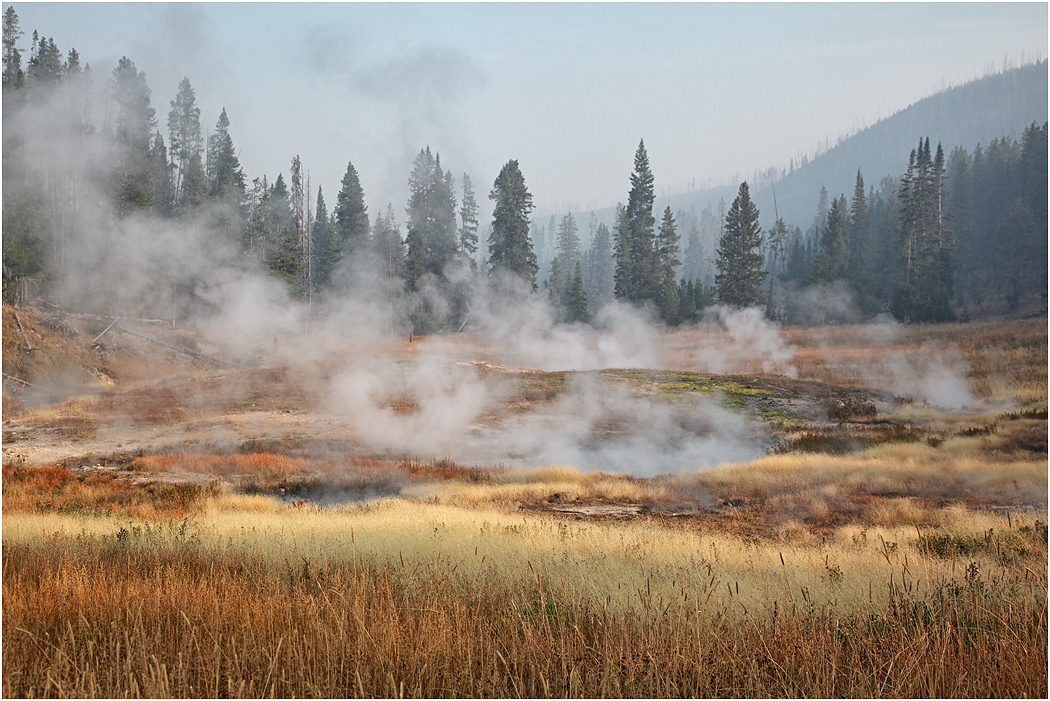 Obsidian Creek, nr Mammoth, Yellowstone