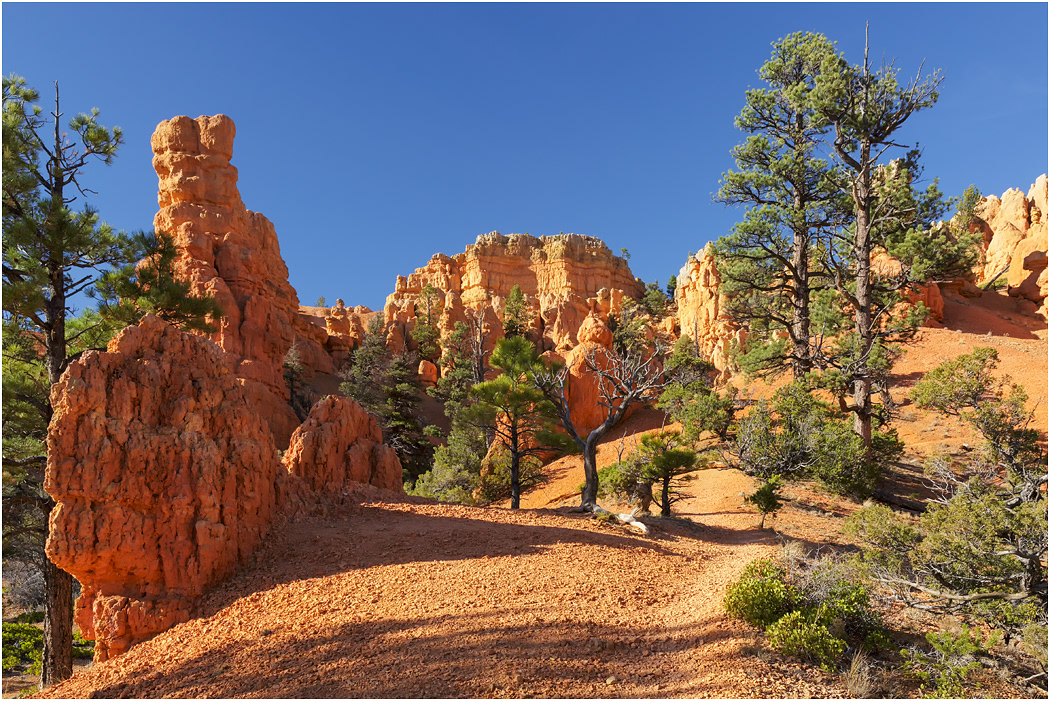 Red Rocks, nr Bryce, Utah