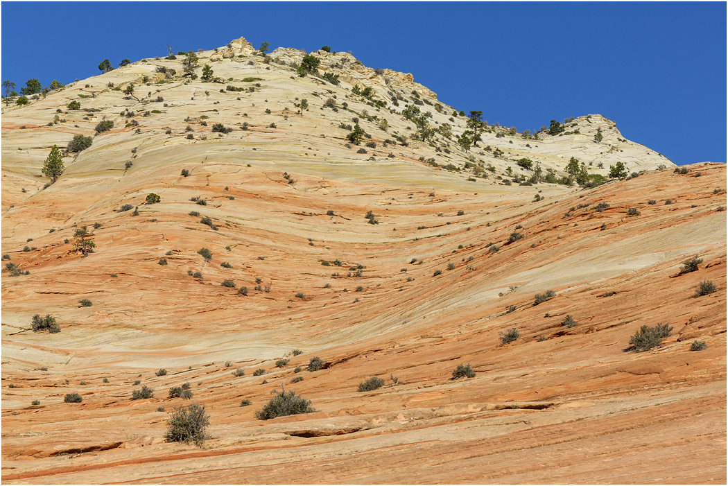 Cross-bedded Navajo Sandstone, near Zion, Utah