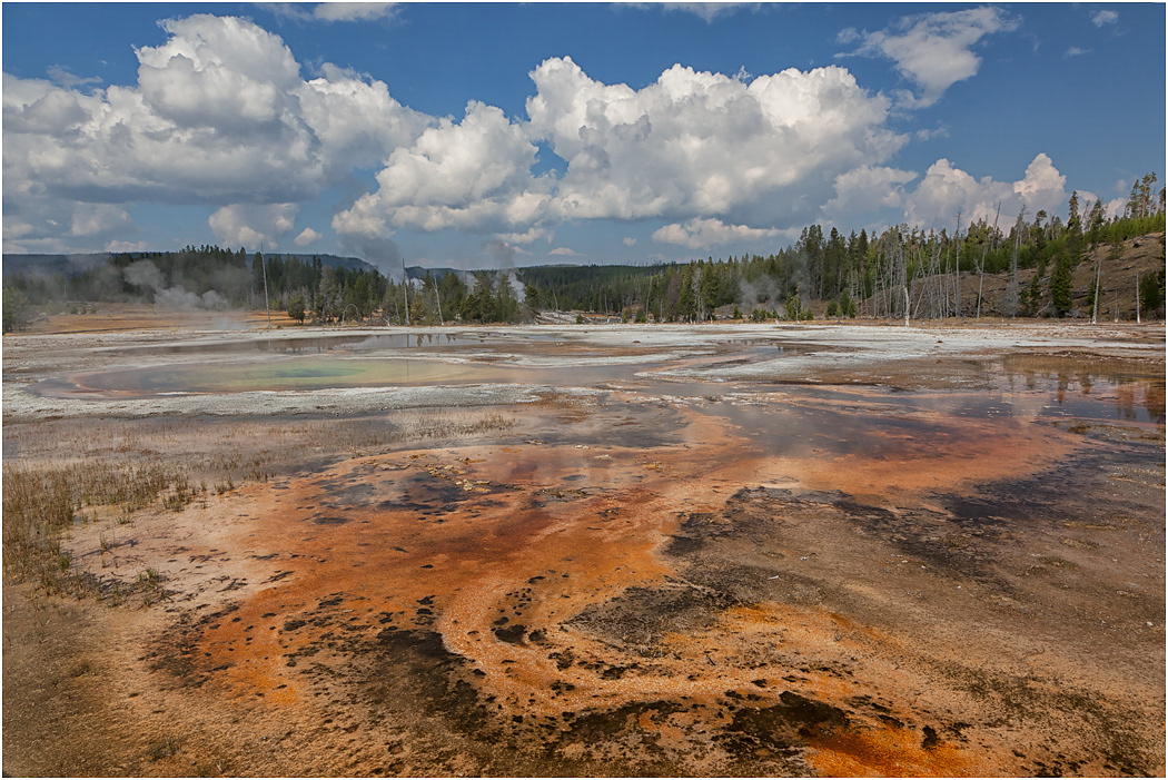Chromatic Pool & run-off, Upper Geyser Basin, Yellowstone NP