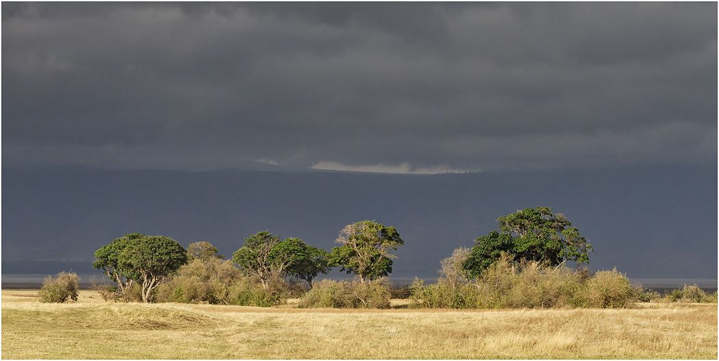 After the storm - Ngorongoro Crater, Tanzania
