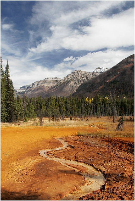 Iron rich Ochre creek, Kootenay NP, BC