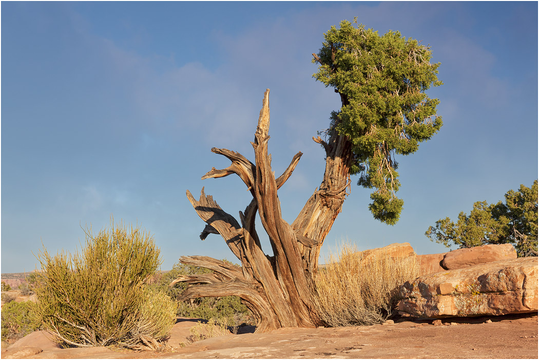 Dead Horse Canyon State Park, Utah
