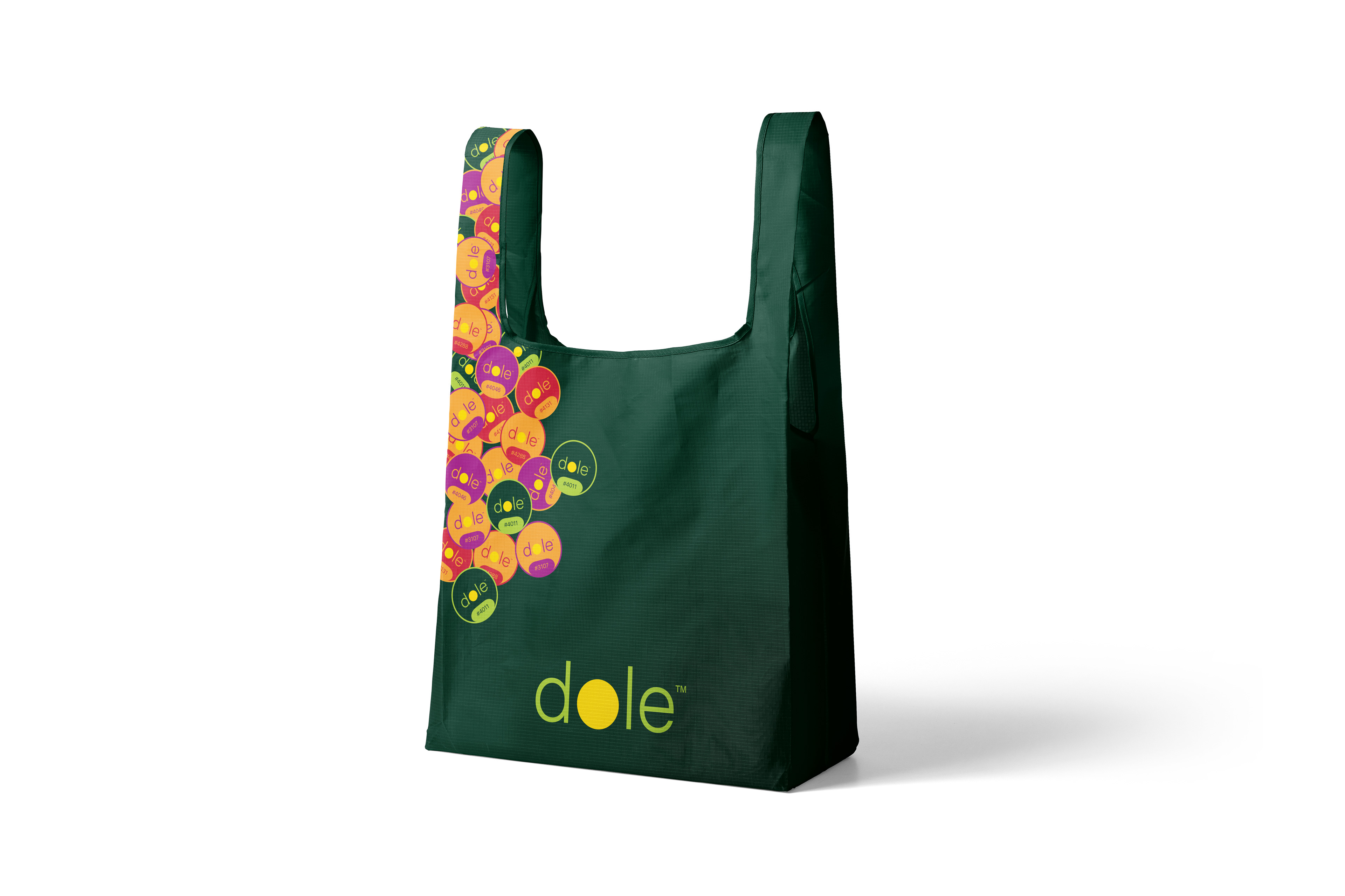 Reusable Grocery Bag