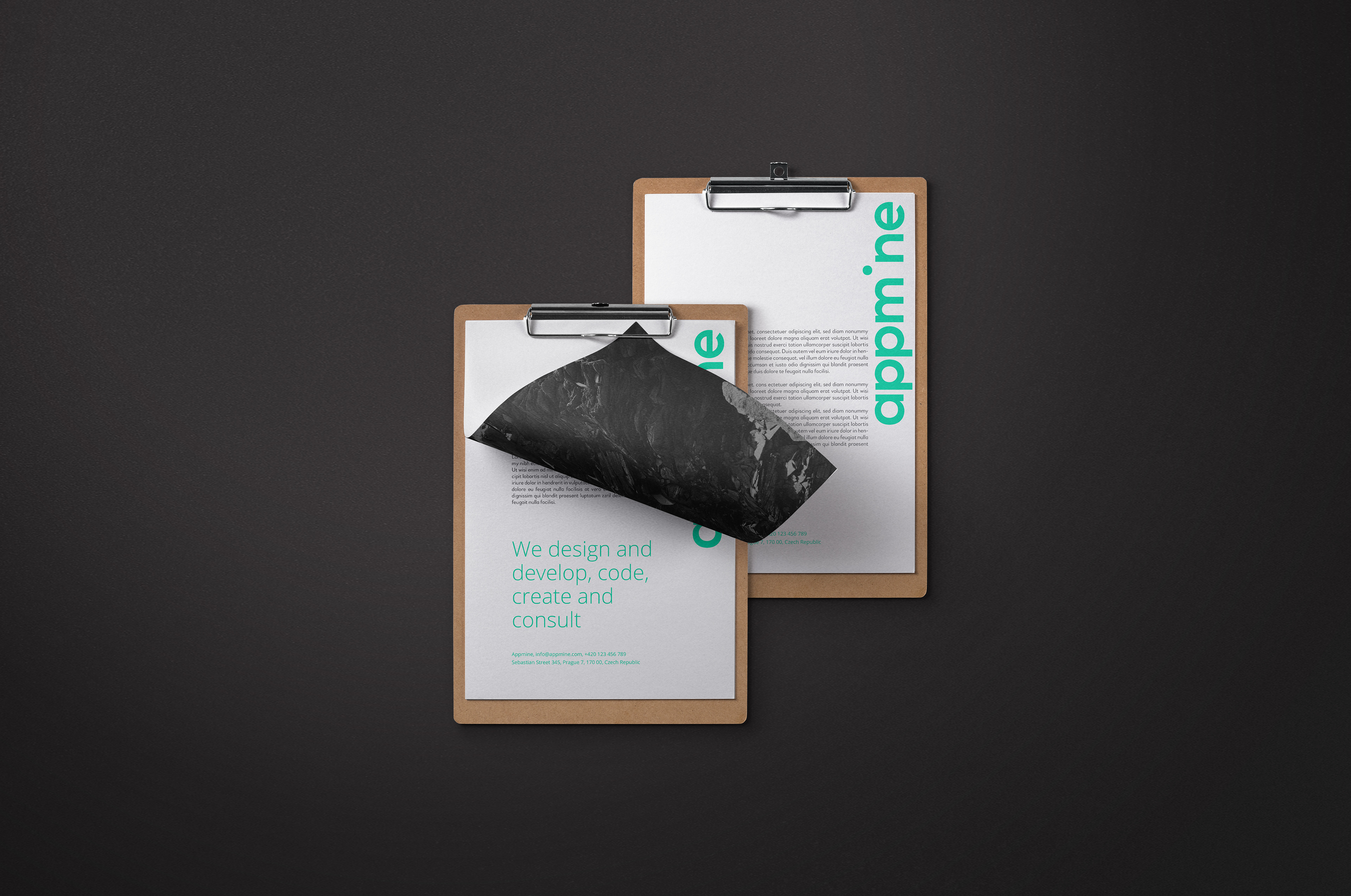 Andreea Bora design Appmine logo branding visual identity