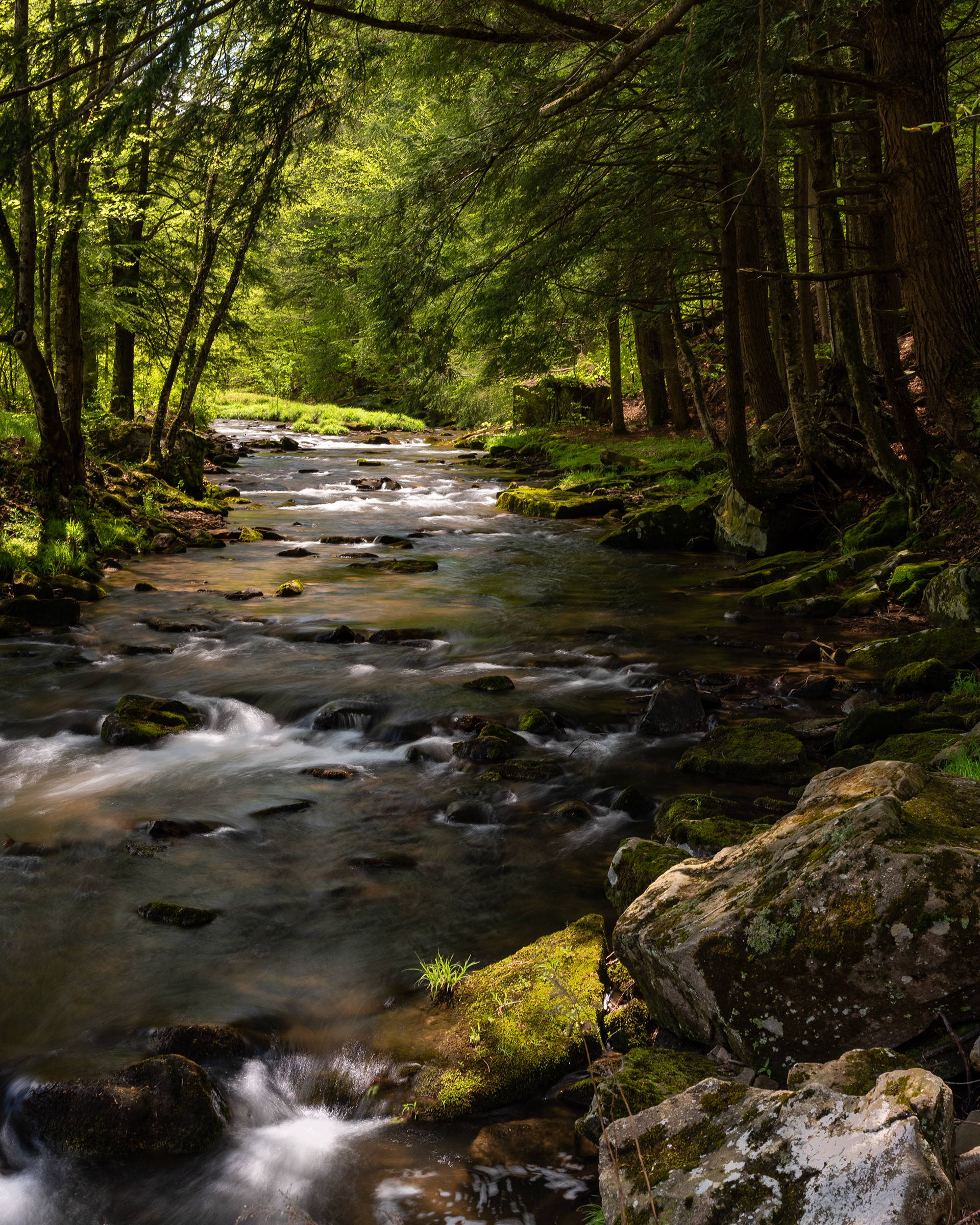 Allegheny State Park, New York