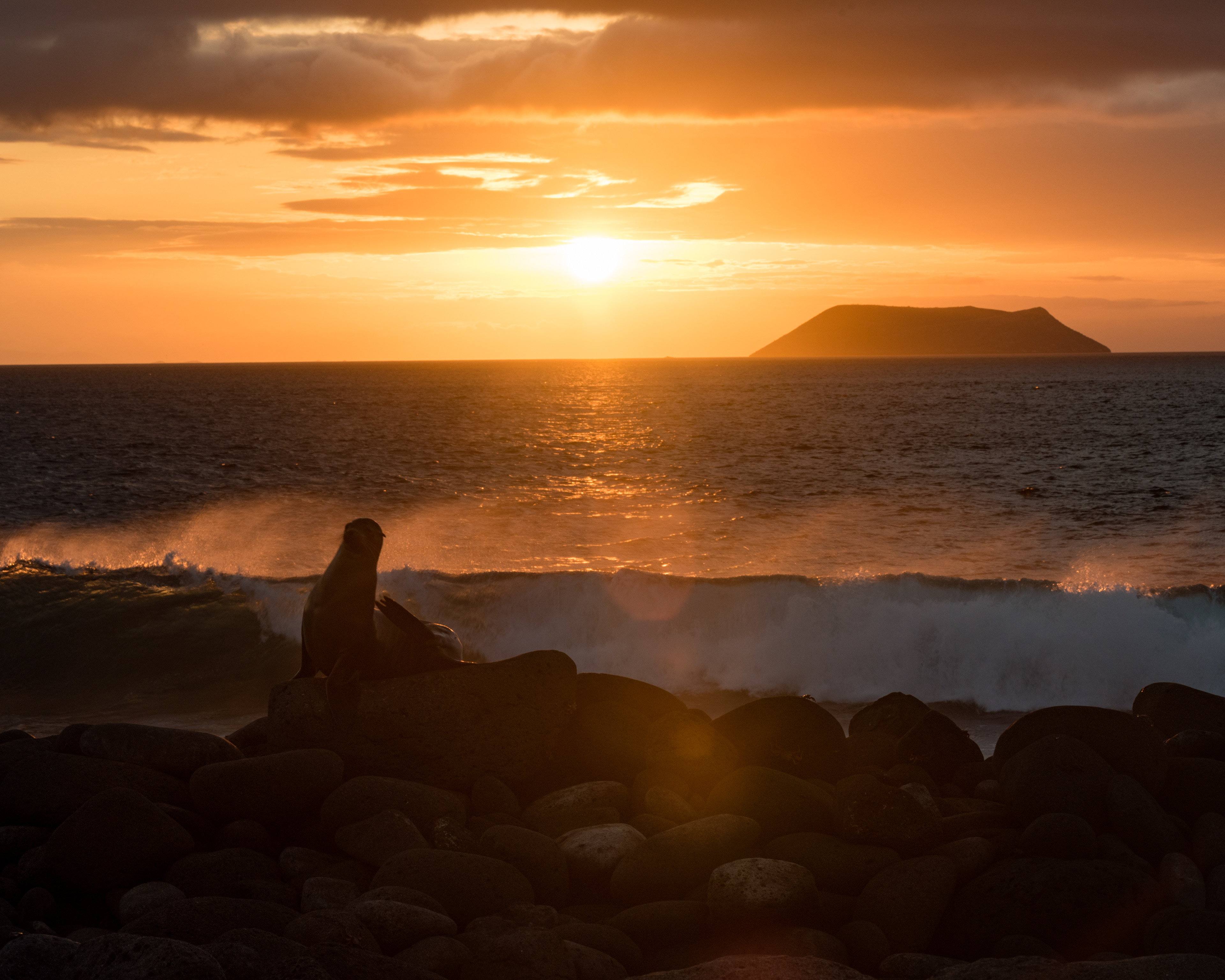 Galapagos Islands, Ecuador