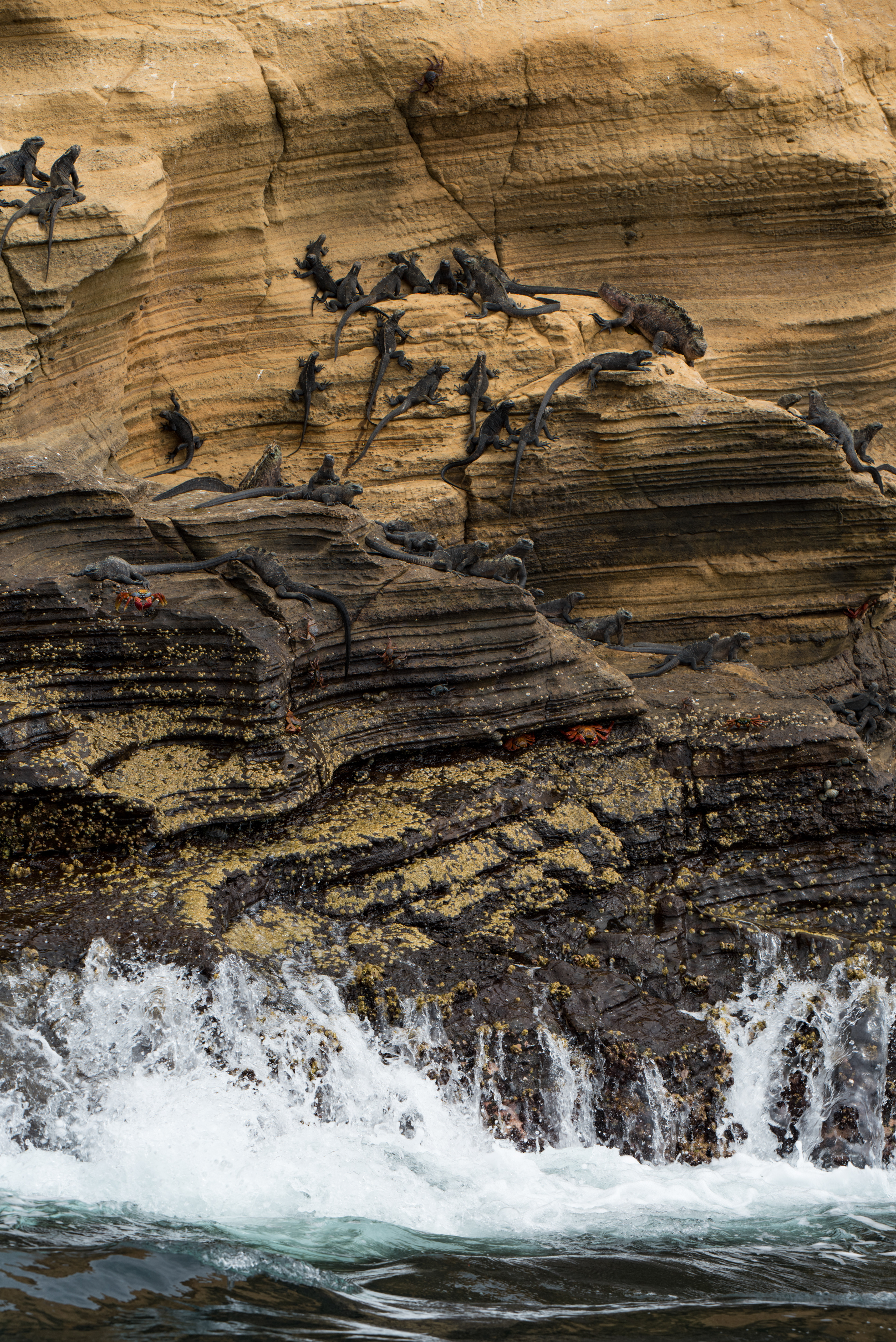 Galapagos Islands, Ecuador