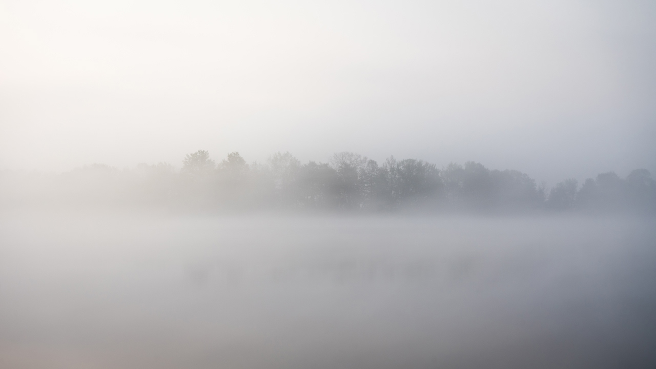Fog