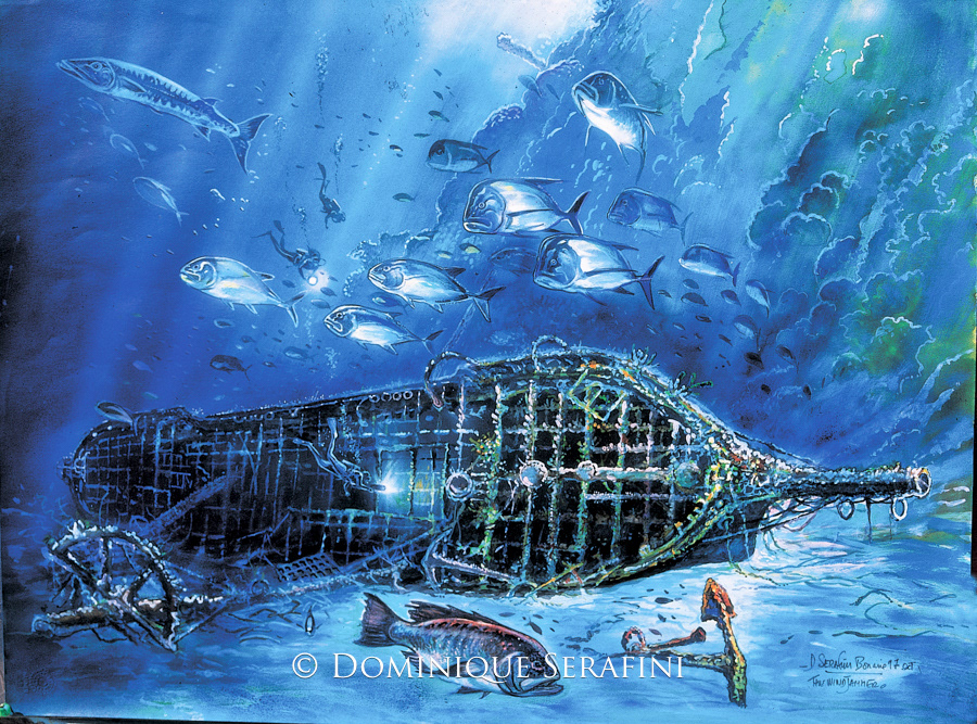 The Windjammer, Bonaire by Dominique Serafini