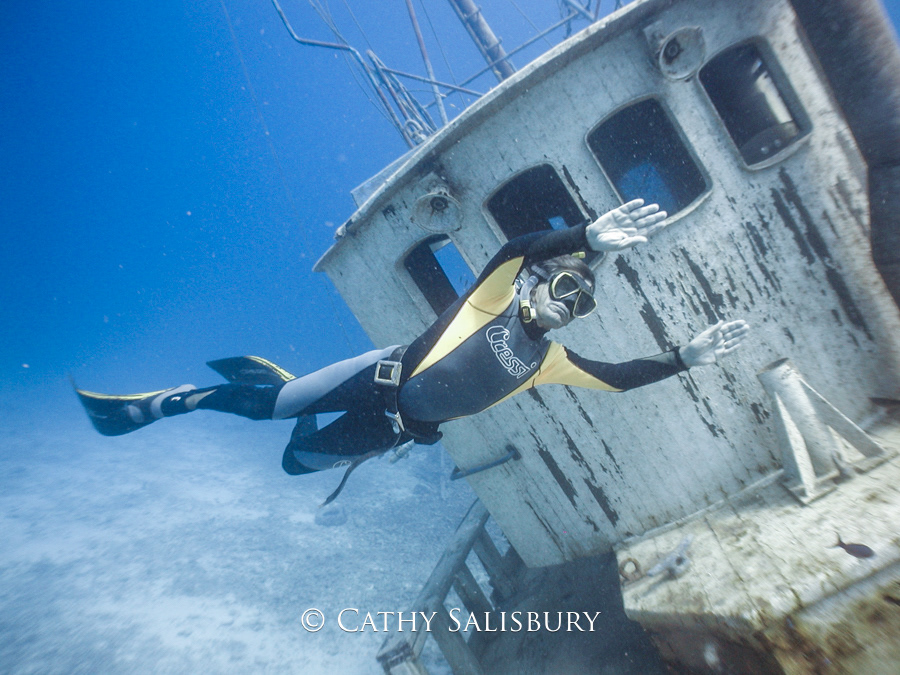 Our Confidence, Bonaire by Cathy Salisbury