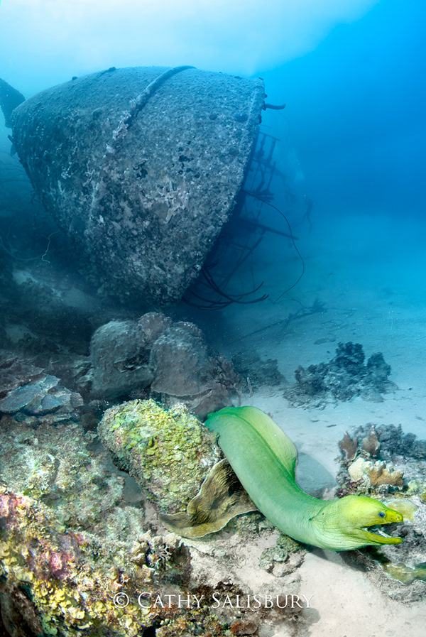DreamWrecks The Hilma Hooker, Bonaire