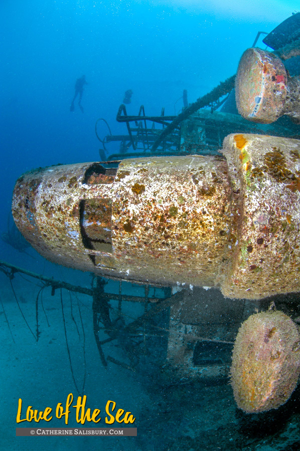 The Hema 1 shipwreck, Grenada by Cathy Salisbury