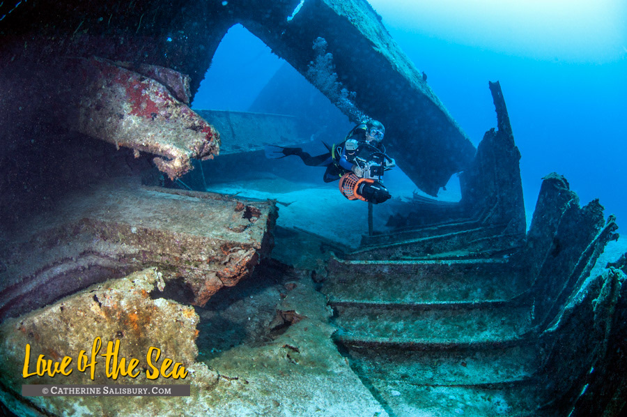 El Aguila shipwreck, Roatan, Honduras by Cathy Salisbury