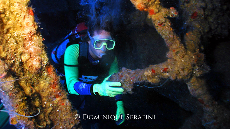 The Windjammer, Bonaire by Dominique Serafini