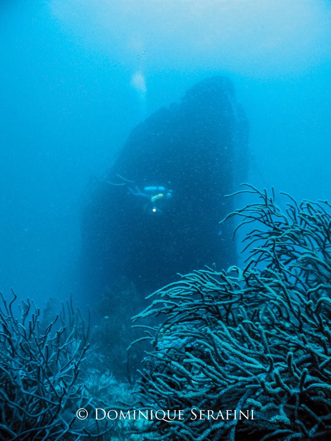 The Jane Sea, Aruba by Dominique Serafini