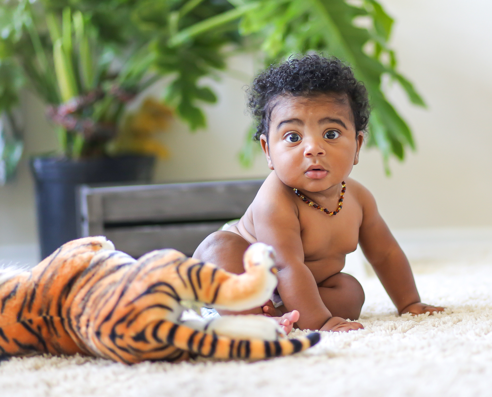 Waco Texas Baby Photography 6 Months Photos