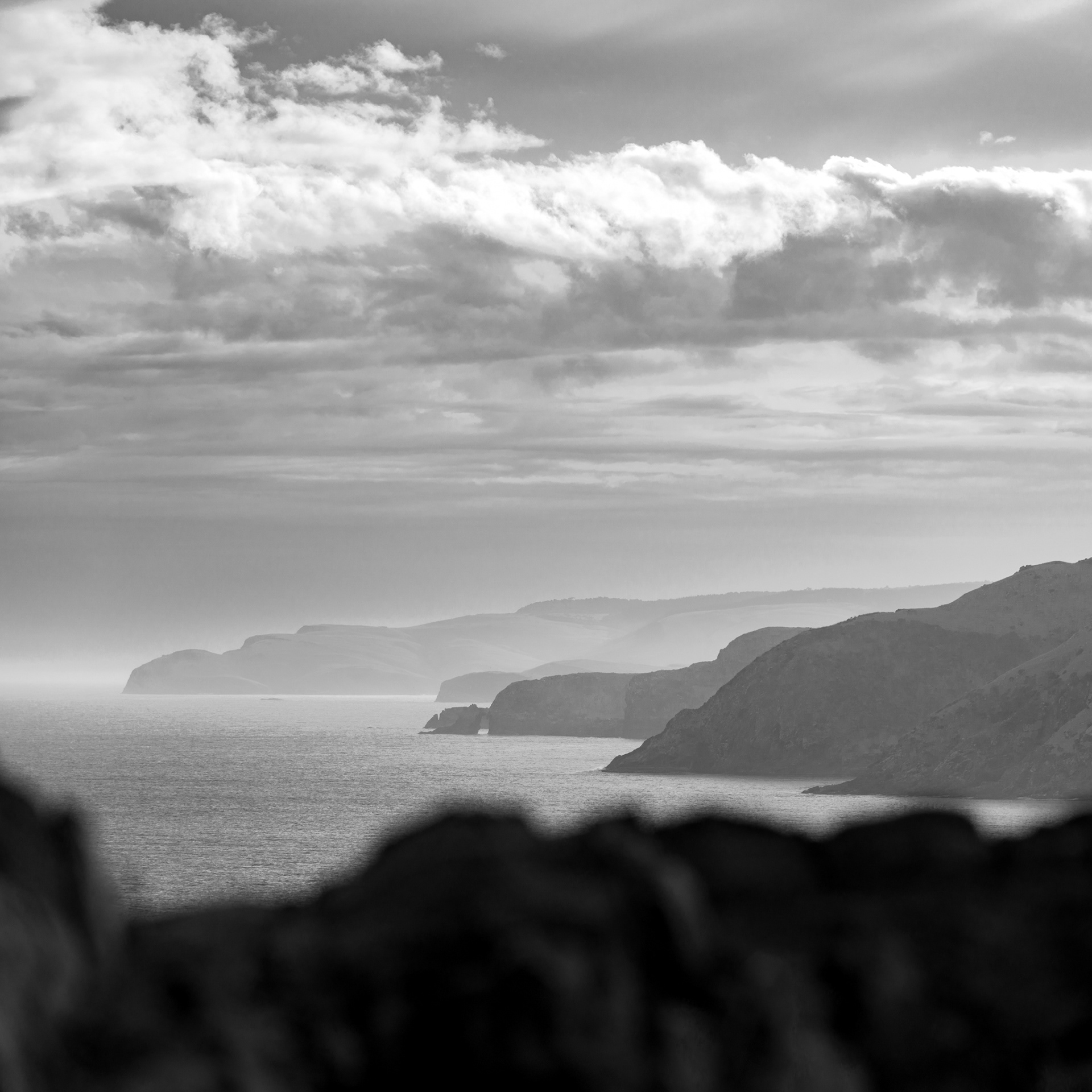 NUGGET POINT CLIFFS BW