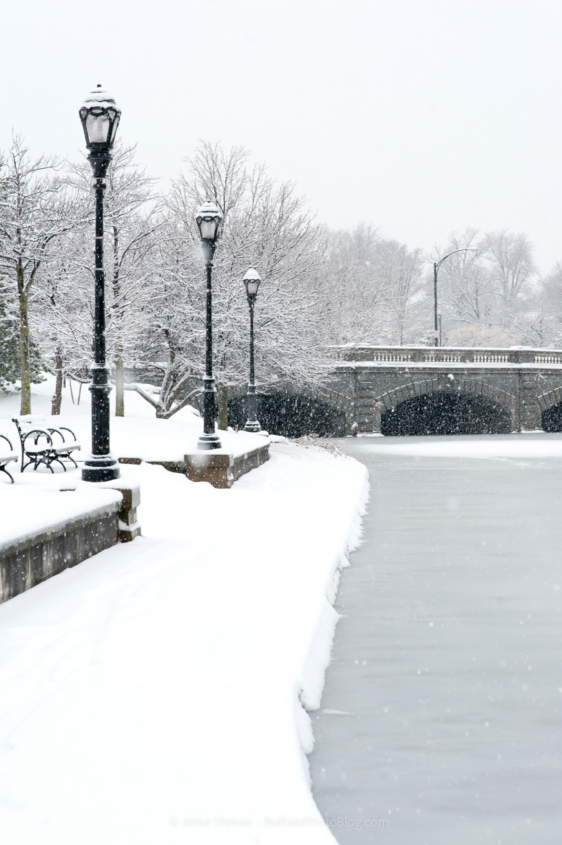 Photography of Buffalo, NY buffalo winter