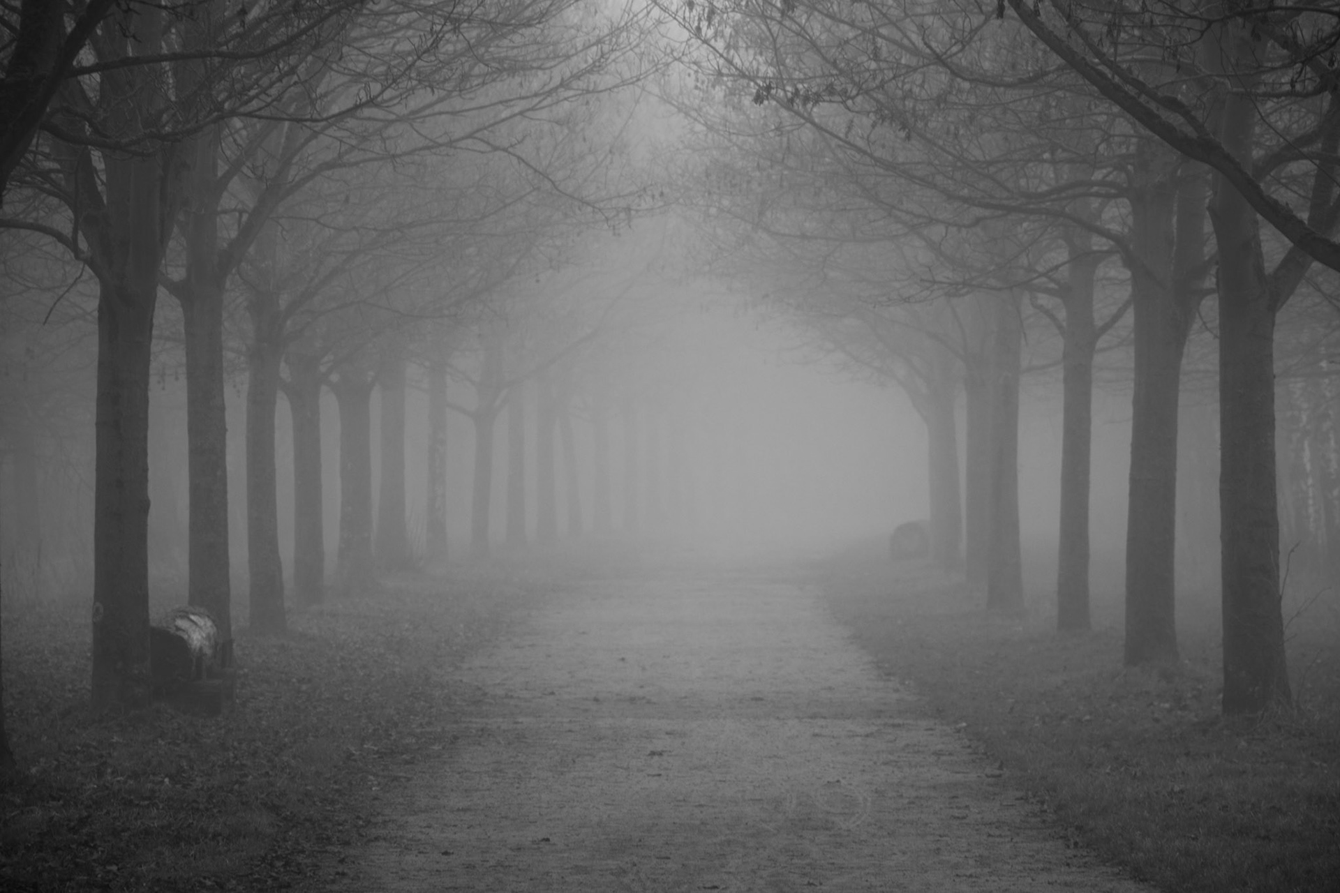 Parc Les Ansereuilles - Wavrin - France