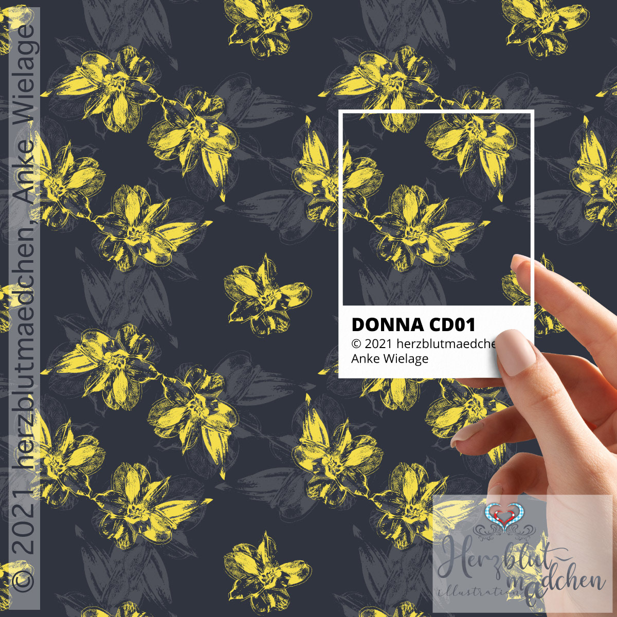 'DONNA' coordinate design1