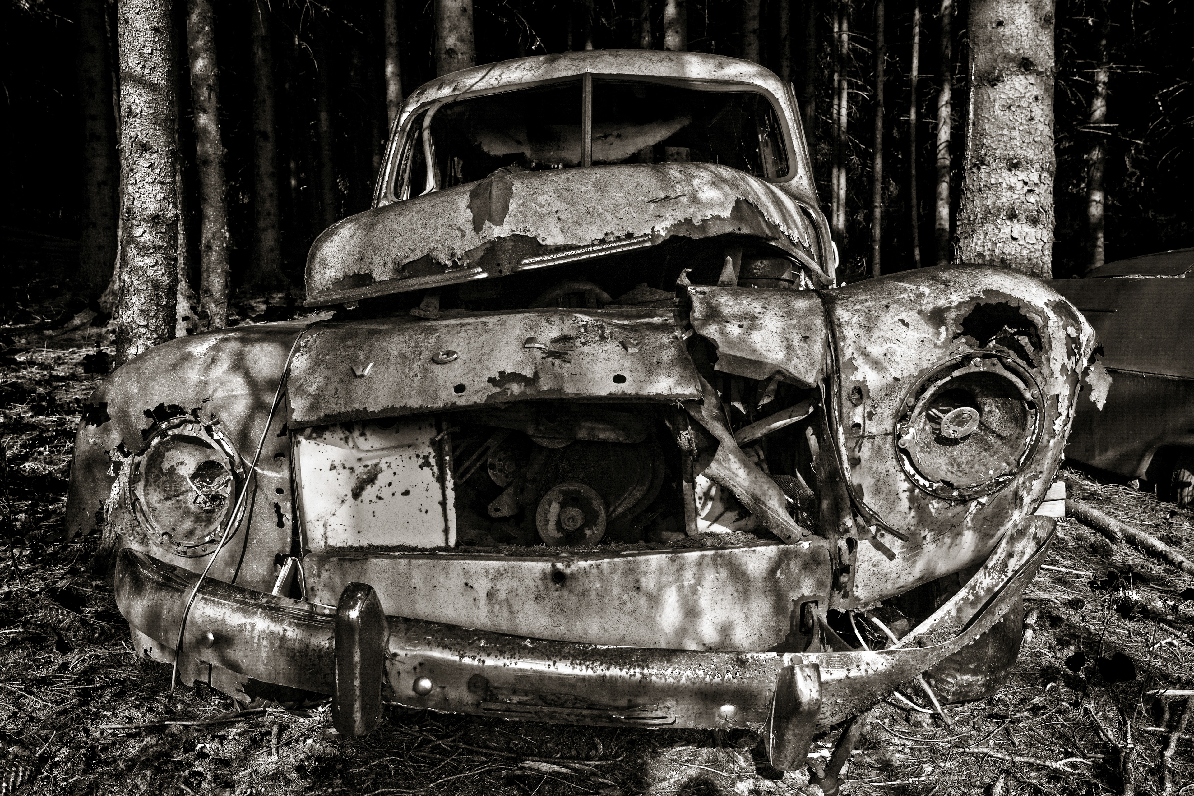 Old decaying rusty Volvo PV 544 in the woods, in black and white