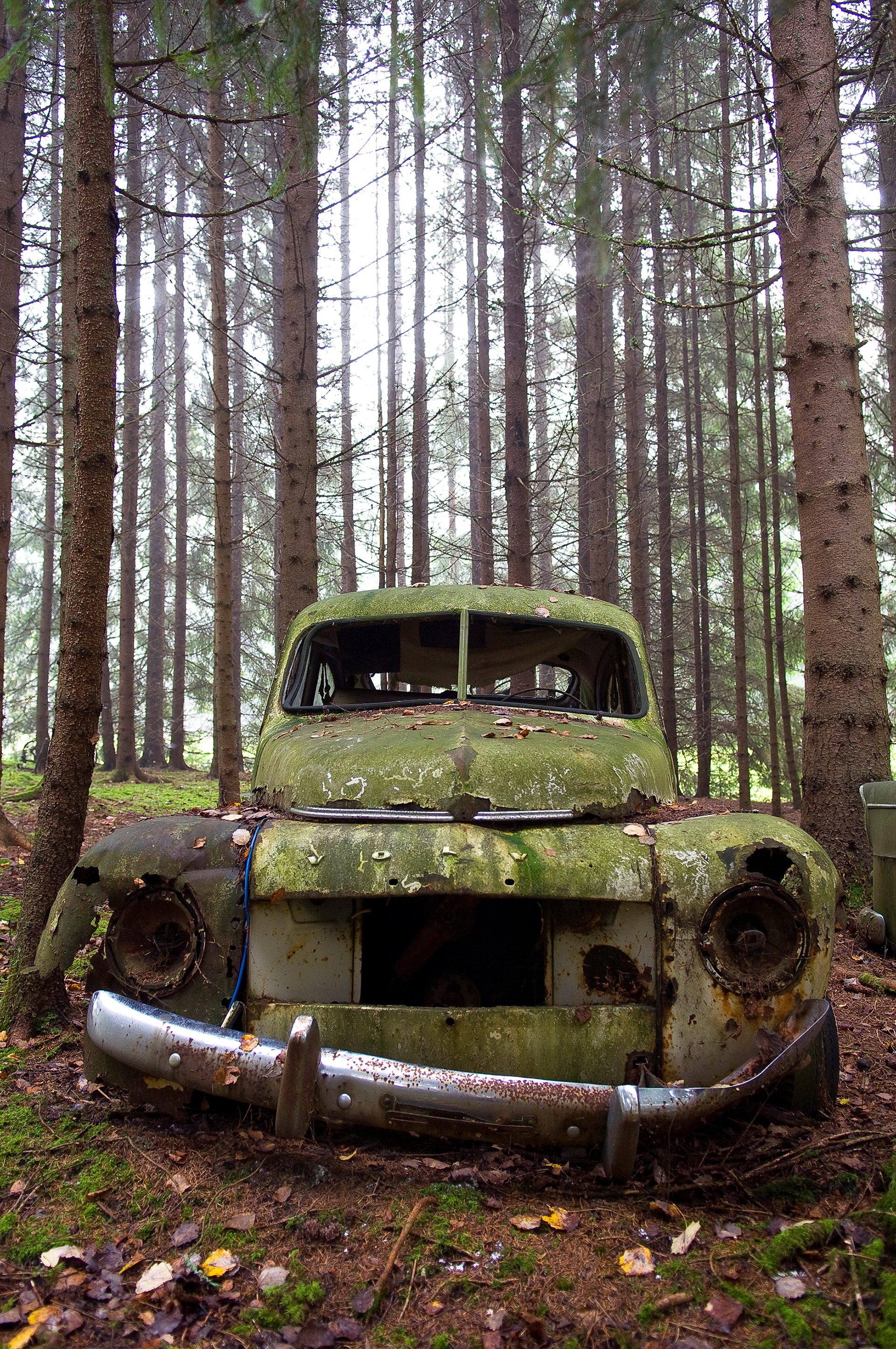 Old vintage rusty Volvo PV 544 abandoned in the woods on a misty foggy autumn day