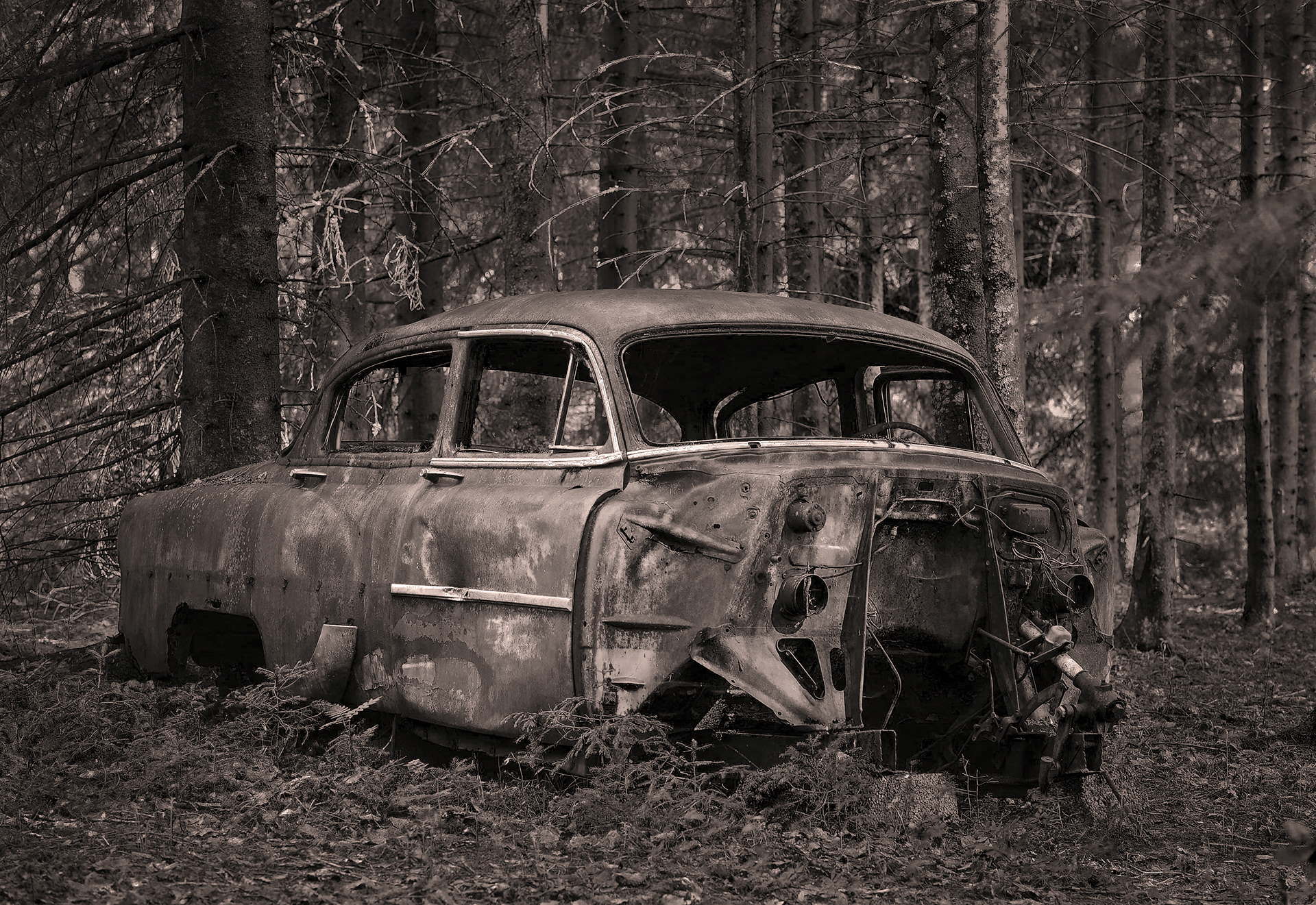 Old decaying rusty vitage chevrolet in the woods in black and white