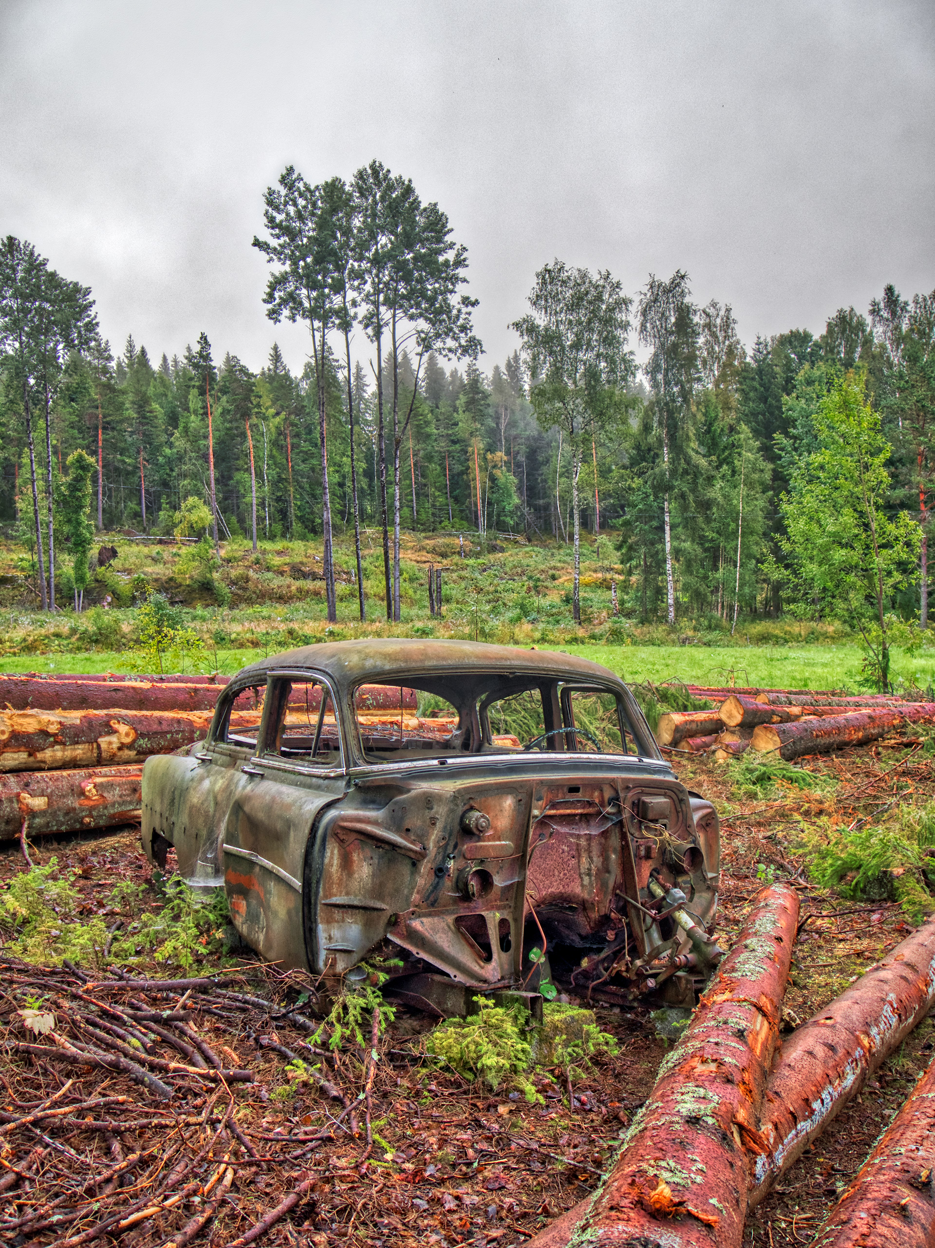 Old vitage rusty Chevrolet with front missing abandoned in the field with freshly cut logs around it