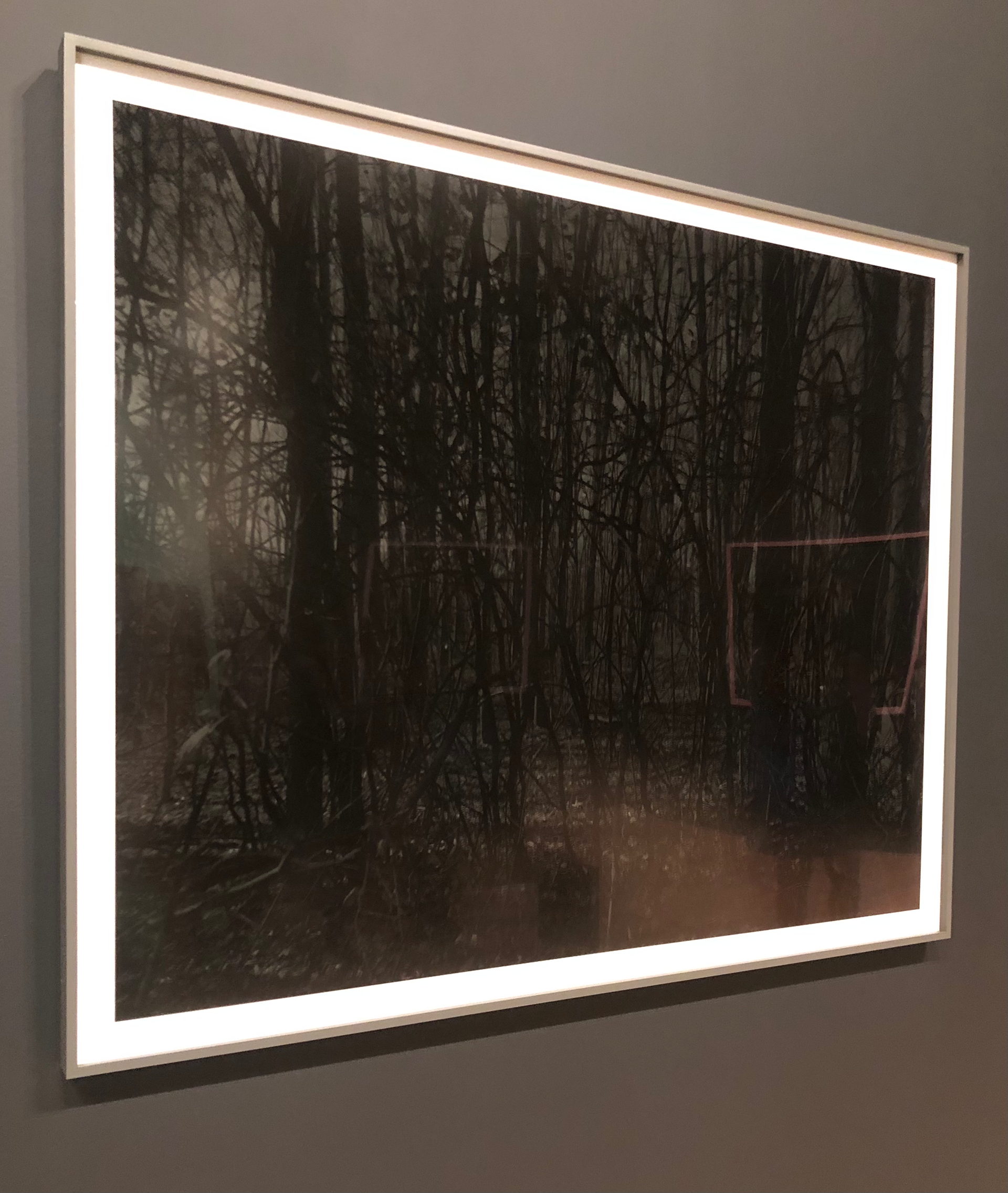 Night Coming Tenderly, Black