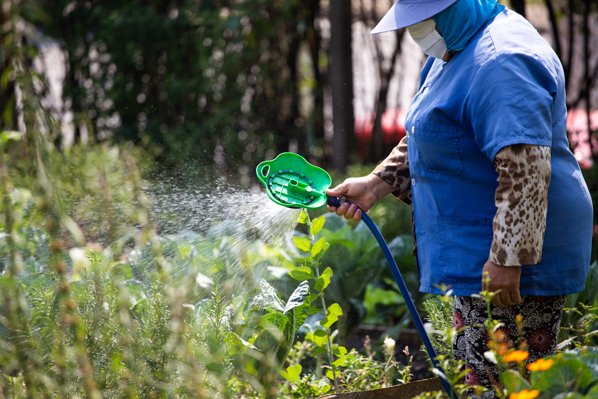 "Caminhos da Agricultura do ABCDMRR", Horta das Nações. Sesc São Caetano, 2020.