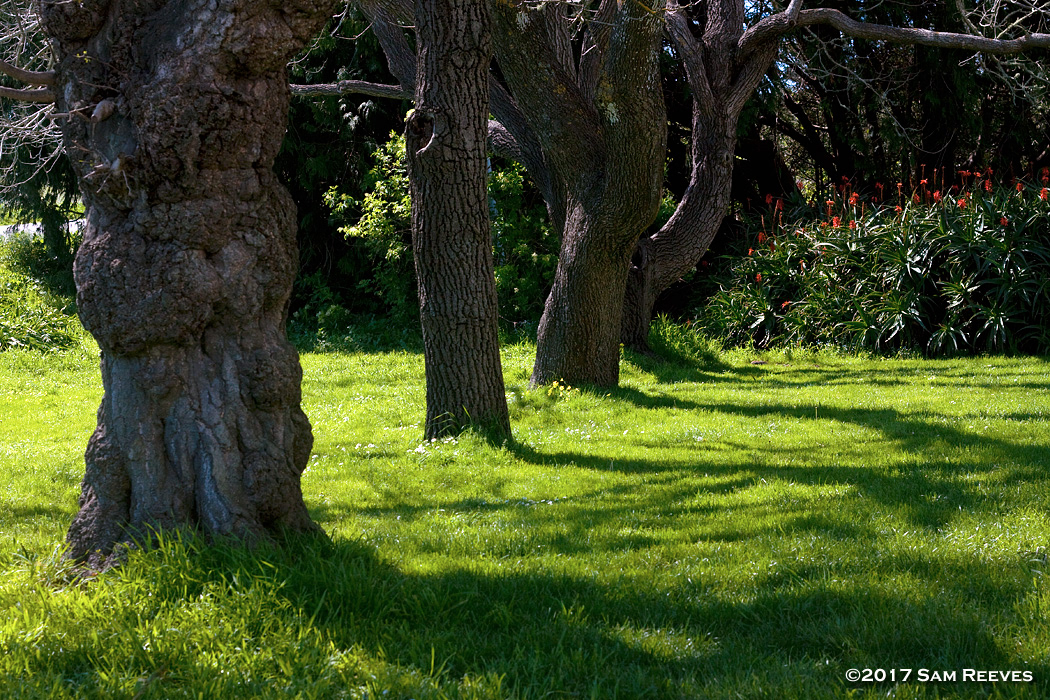 Wilder Ranch