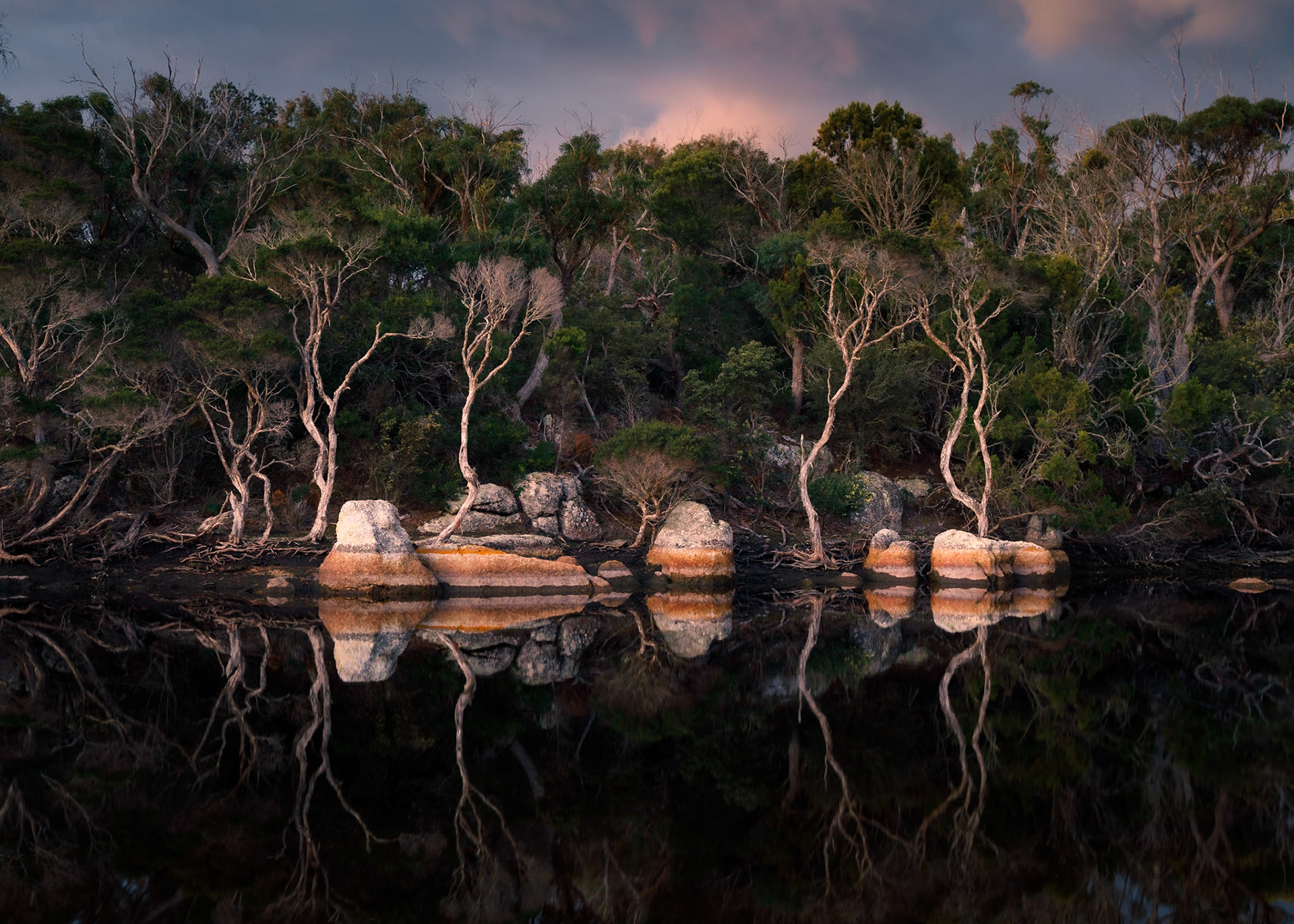 east coast - deep creek08/2020photo by Peter Mathew
