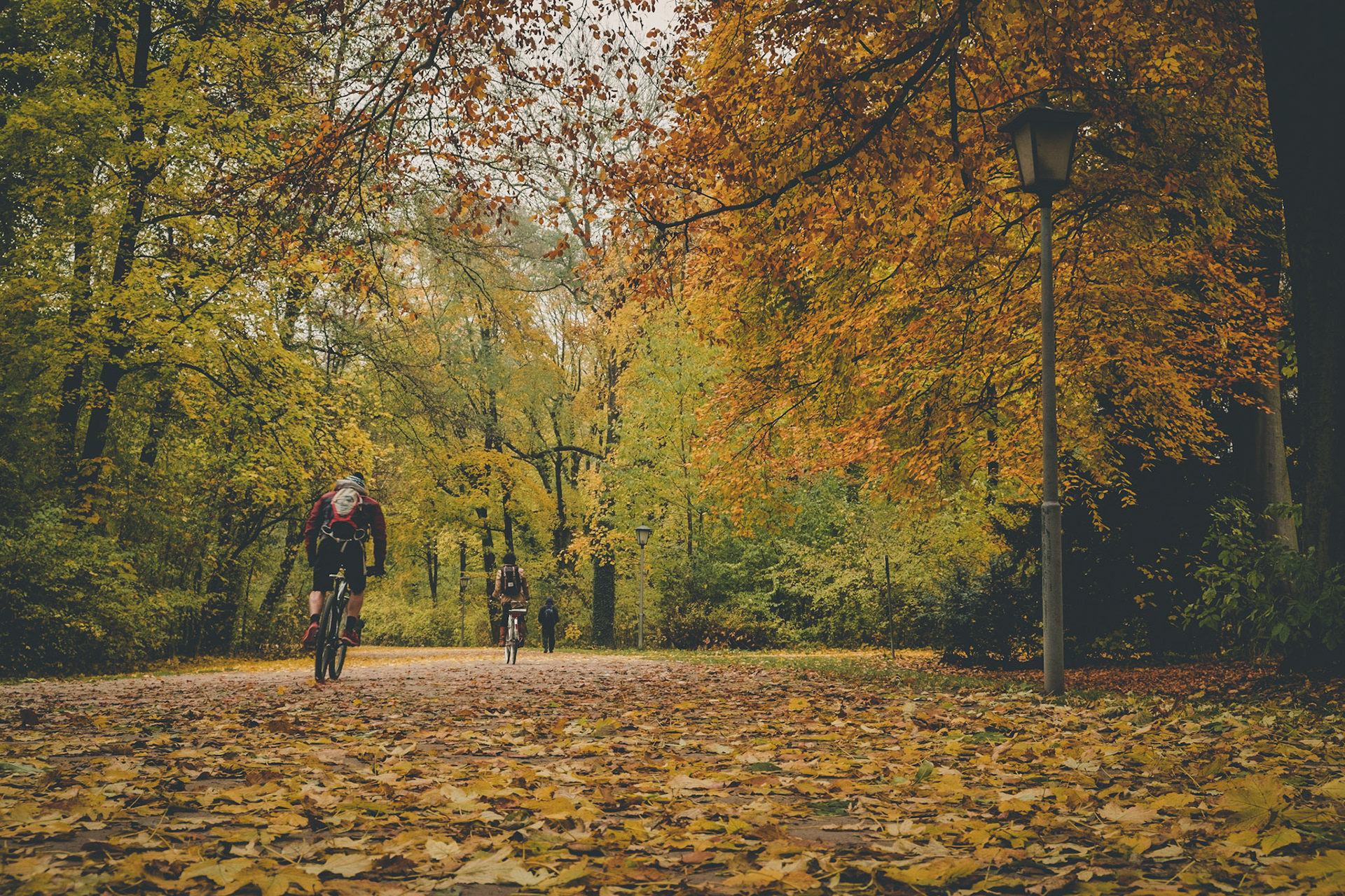 2019 | Germany, Munich | Englischen Garten