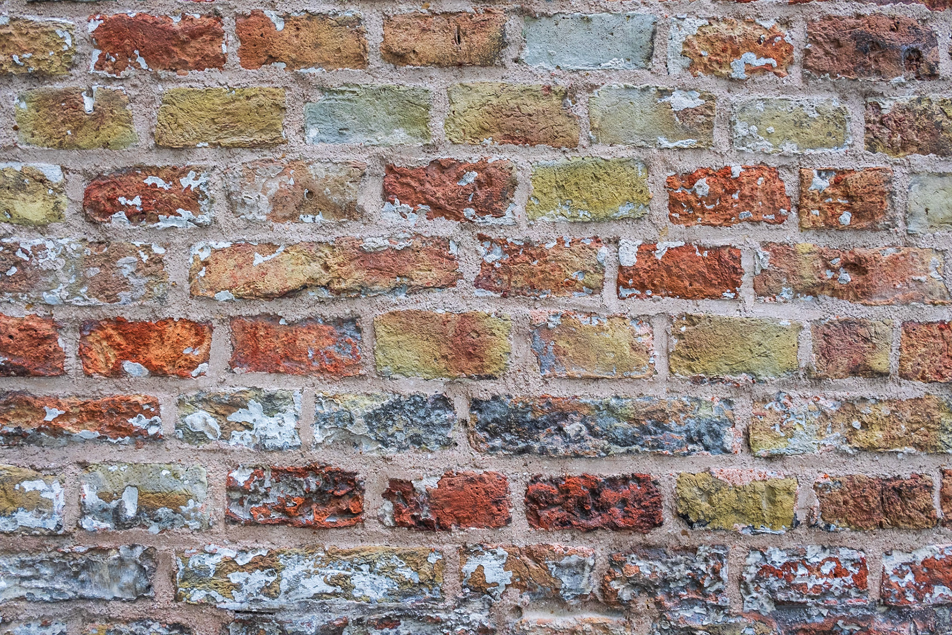 2019 | Belgium, Brugges | Begijnhof