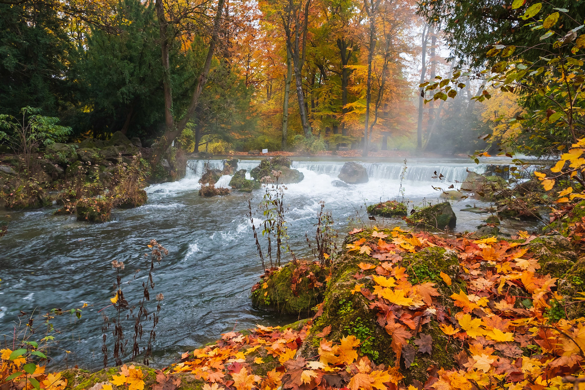 2019 | Germany, Munich | Englischen Garten