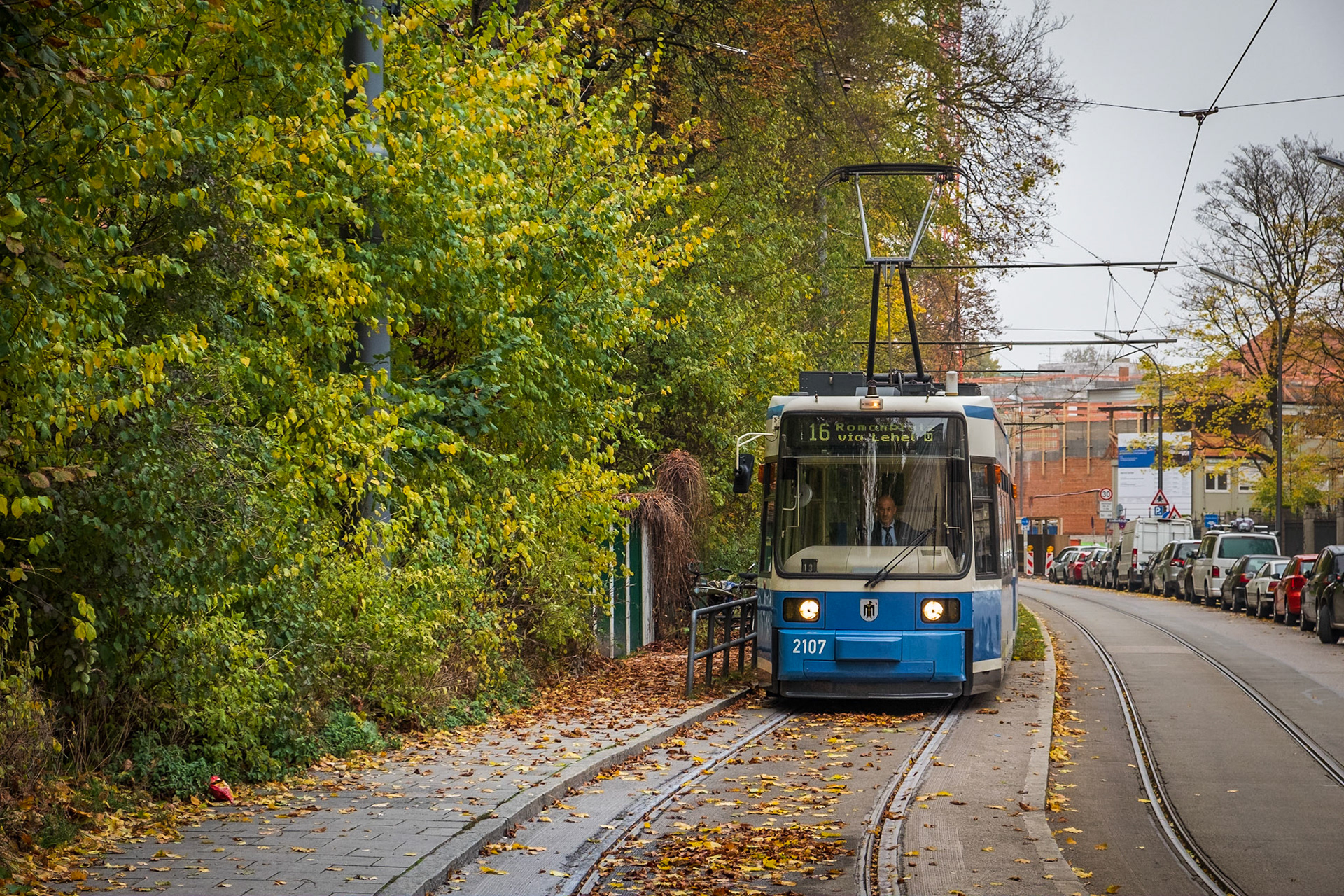 2019 | Germany, Munich | Englischen Garten