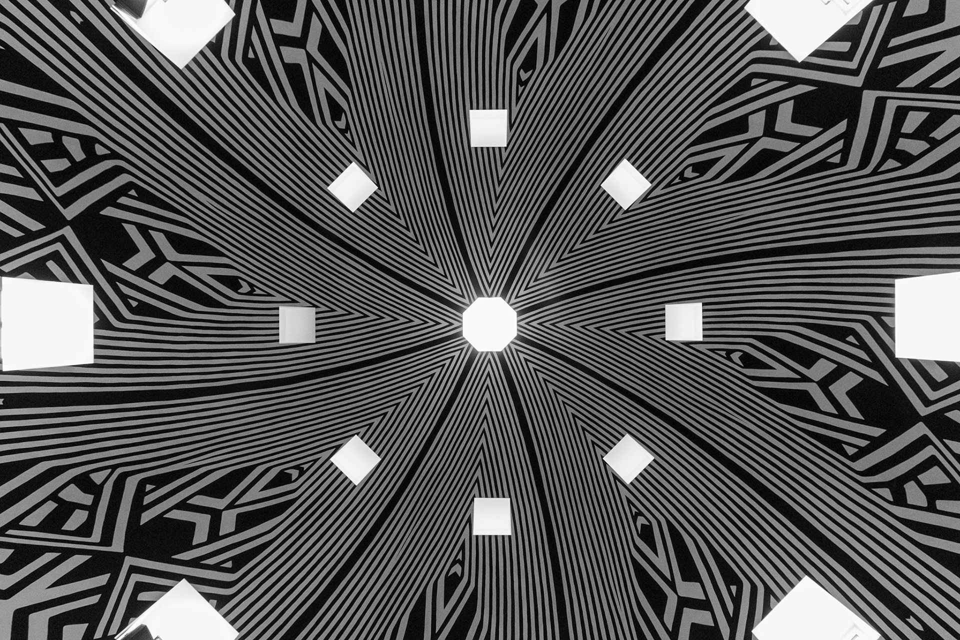 Optical Glade by Stanley Donwood