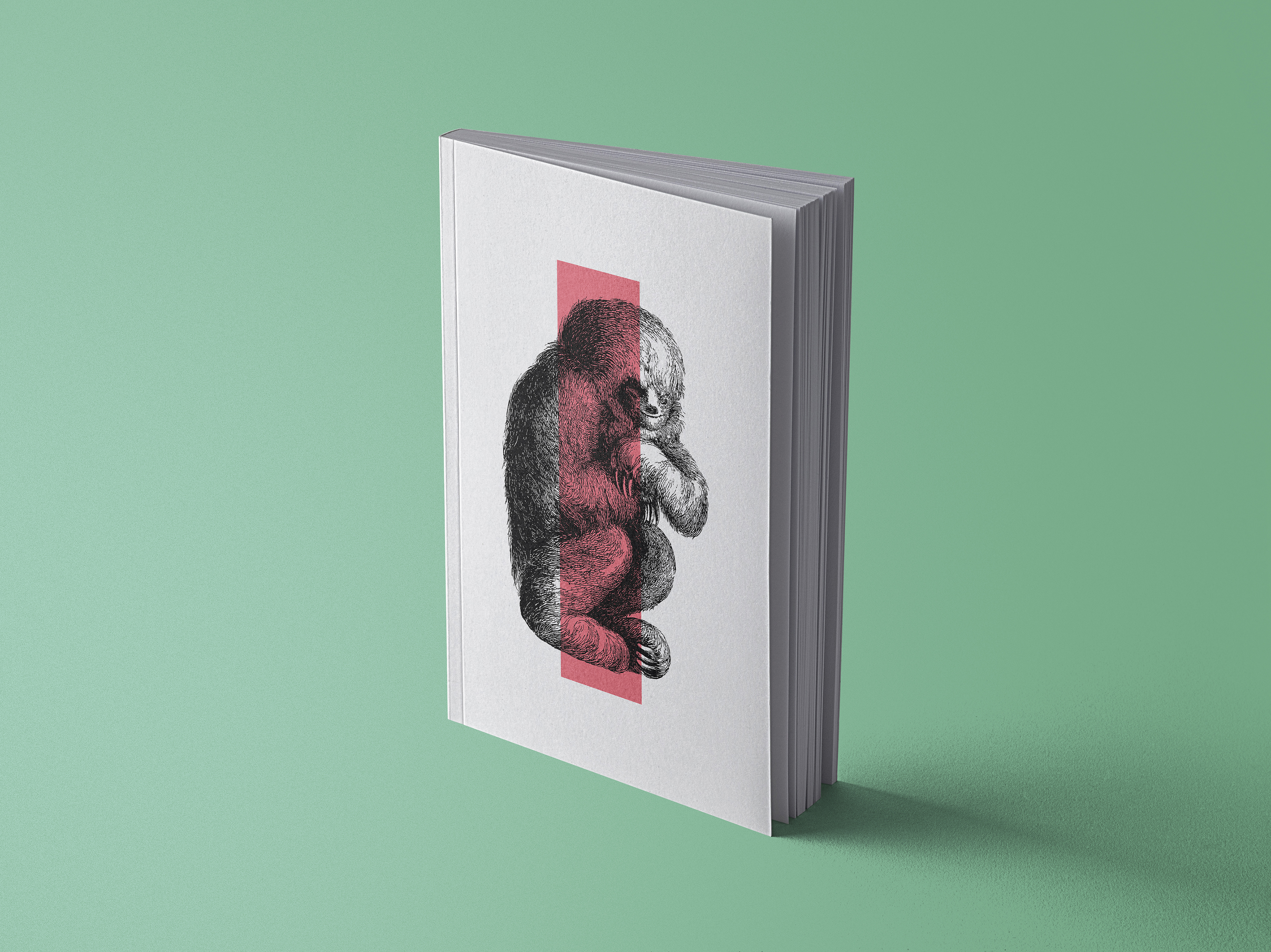 Notizbuch Faultier - Note Book Sloth