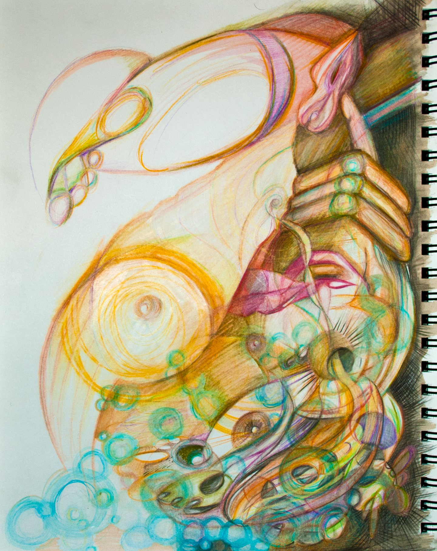 "Pussy", colour pencil and marker on paper, 8.25" x 12", C$1000