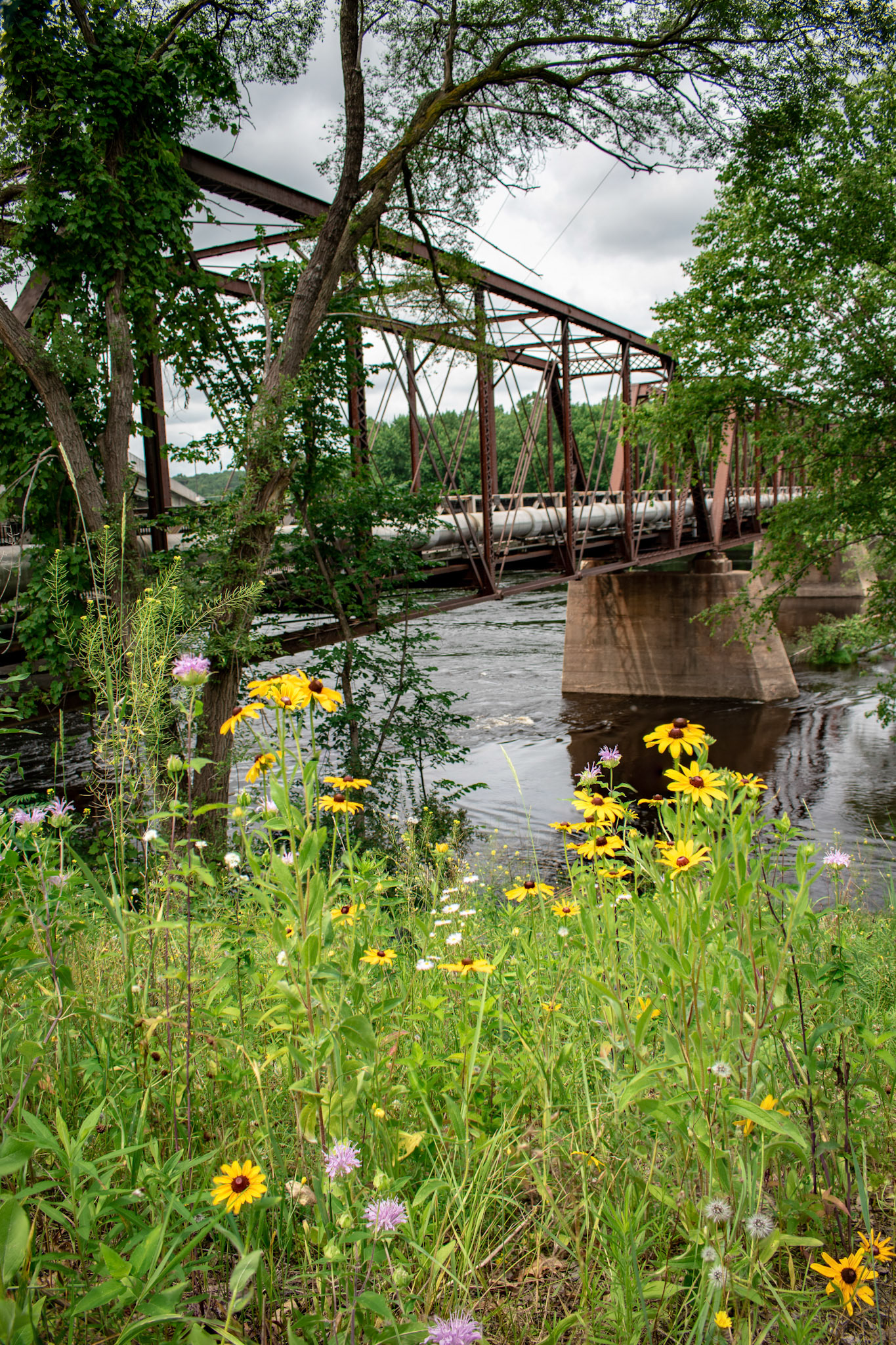 Clairemont Chippewa Crossing #3