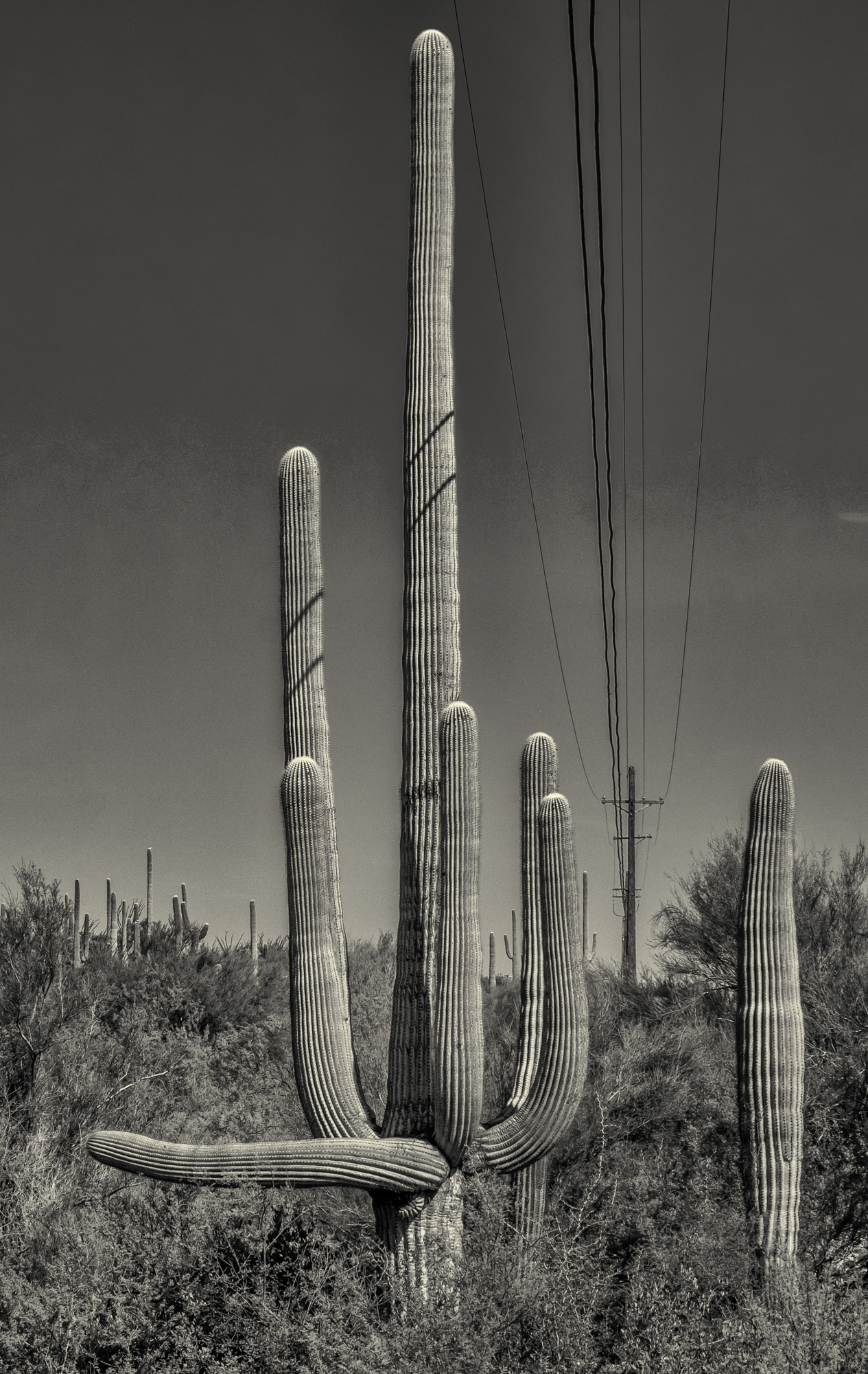 Reach Up & Touch Something