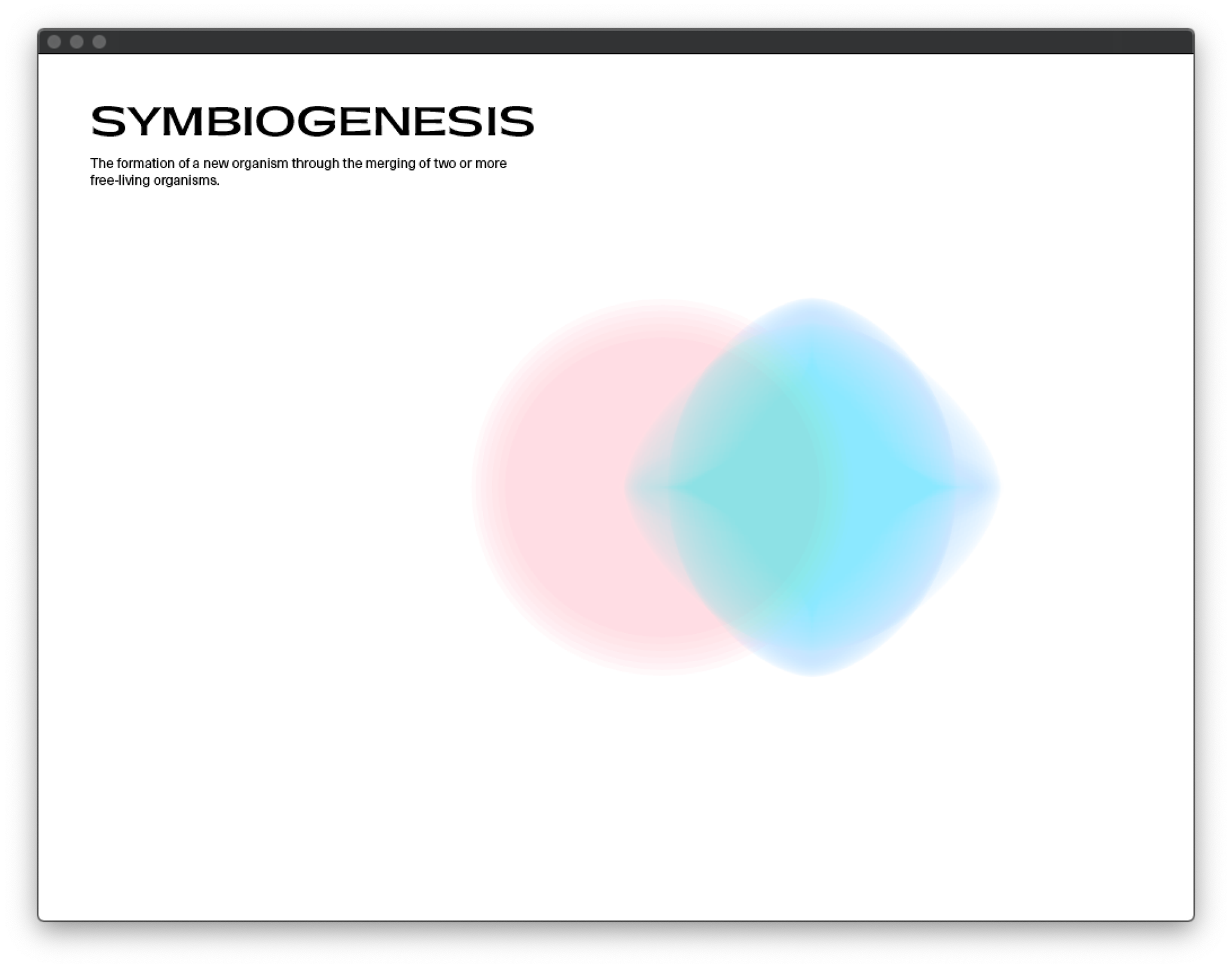 creative coding in OF