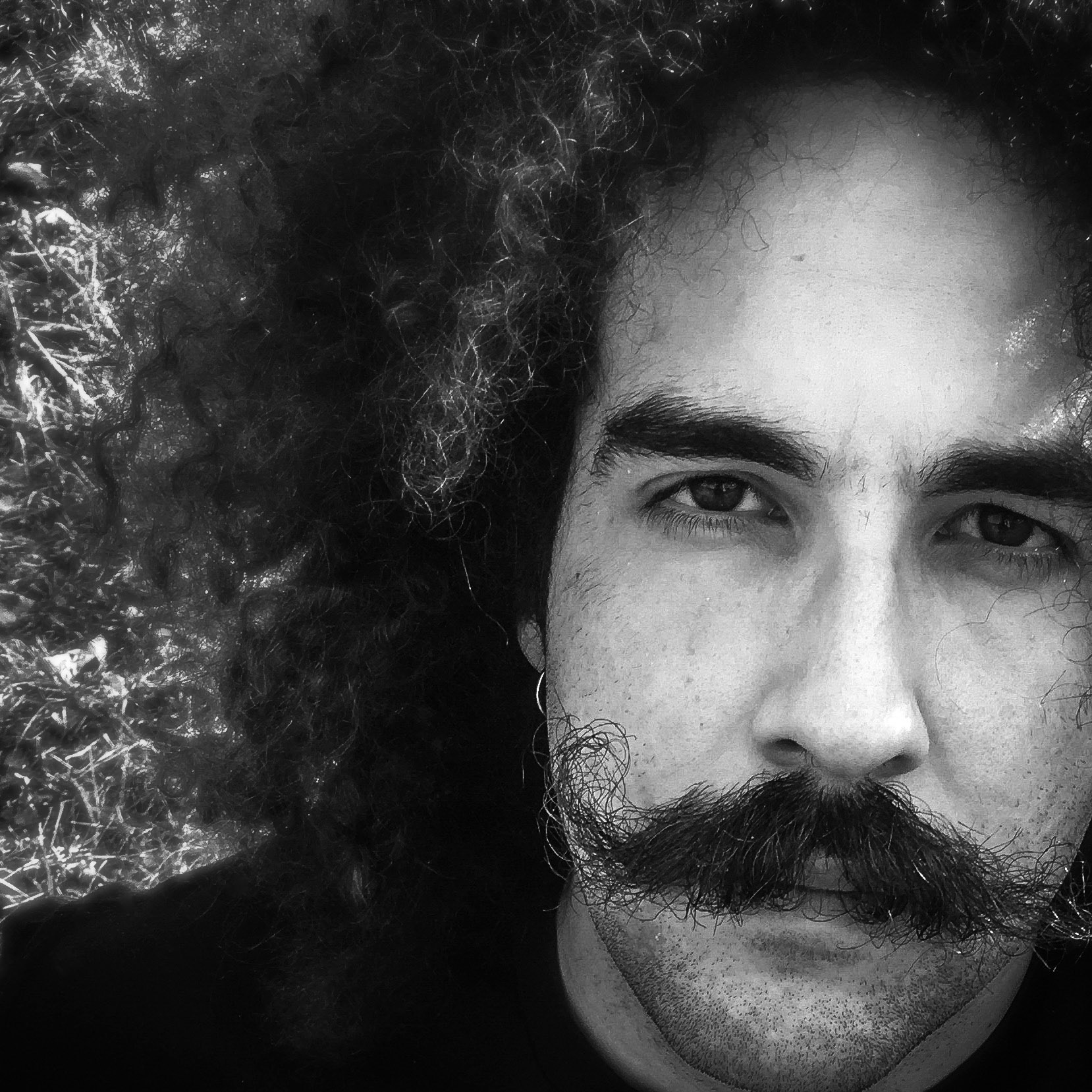 MIKE, Digital Photograph, NFS