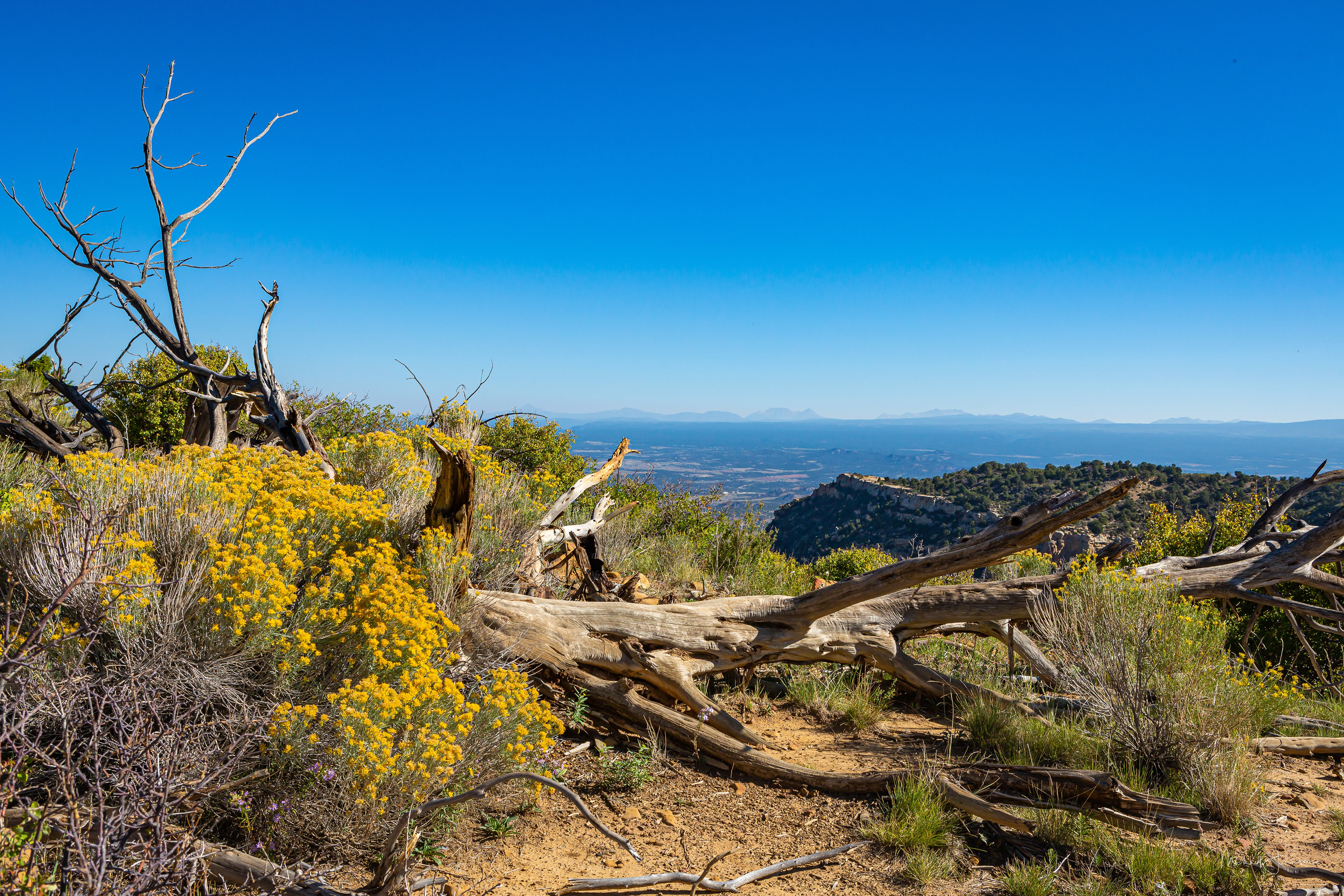 Geologic Overlook