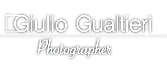 Giulio Gualtieri