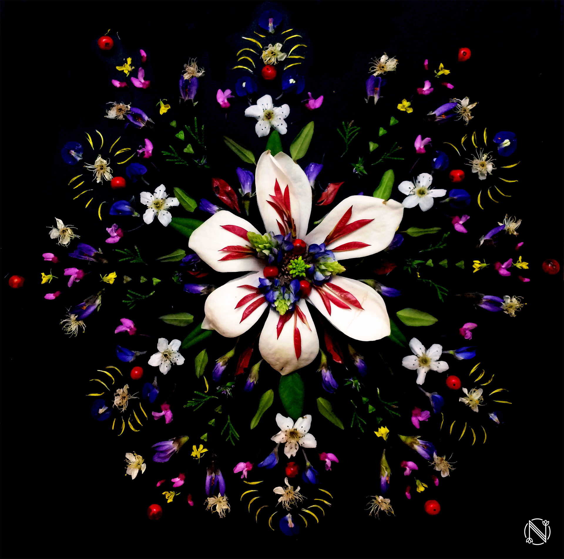 Mandala 3